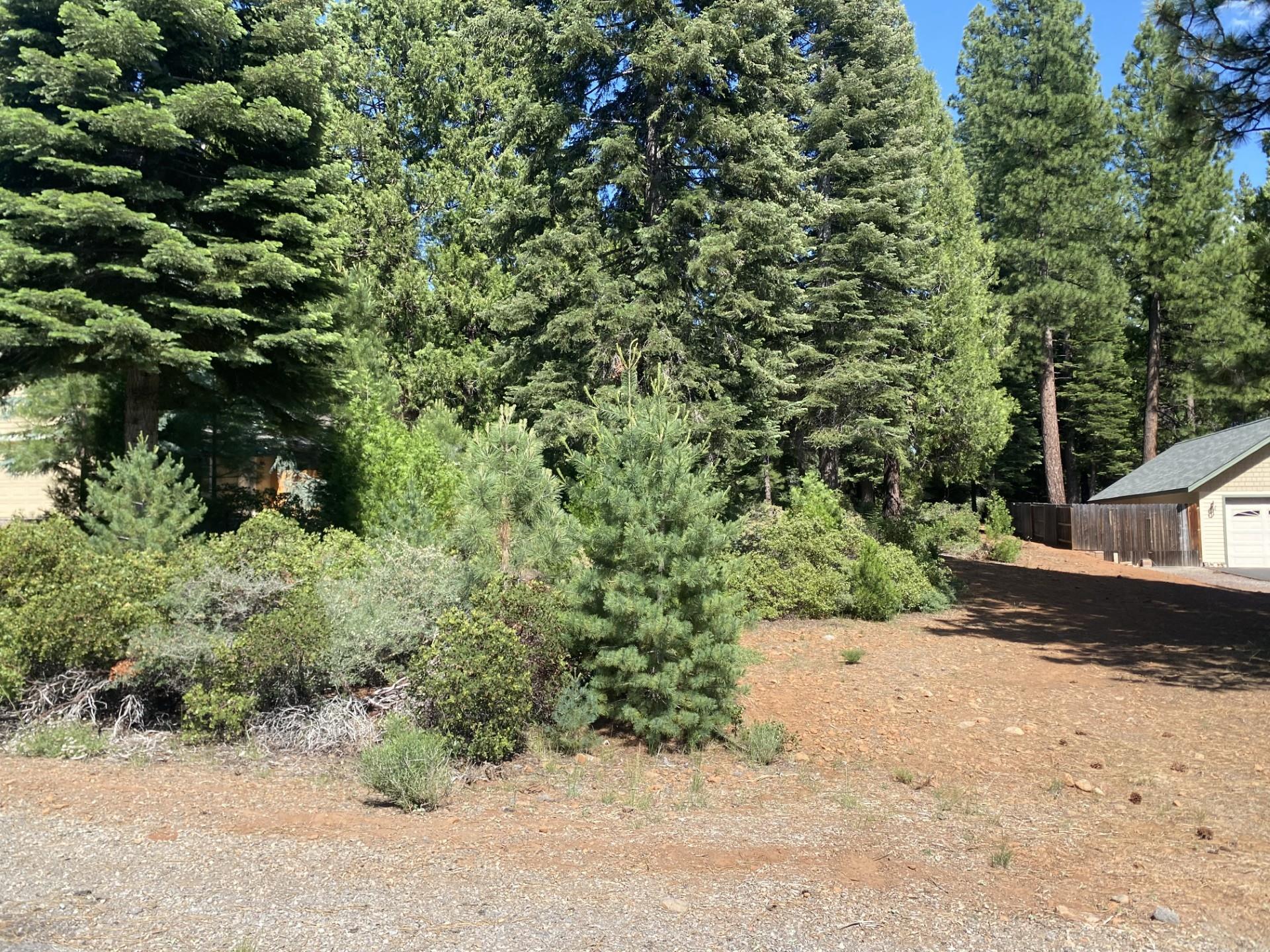 208 Red River Drive