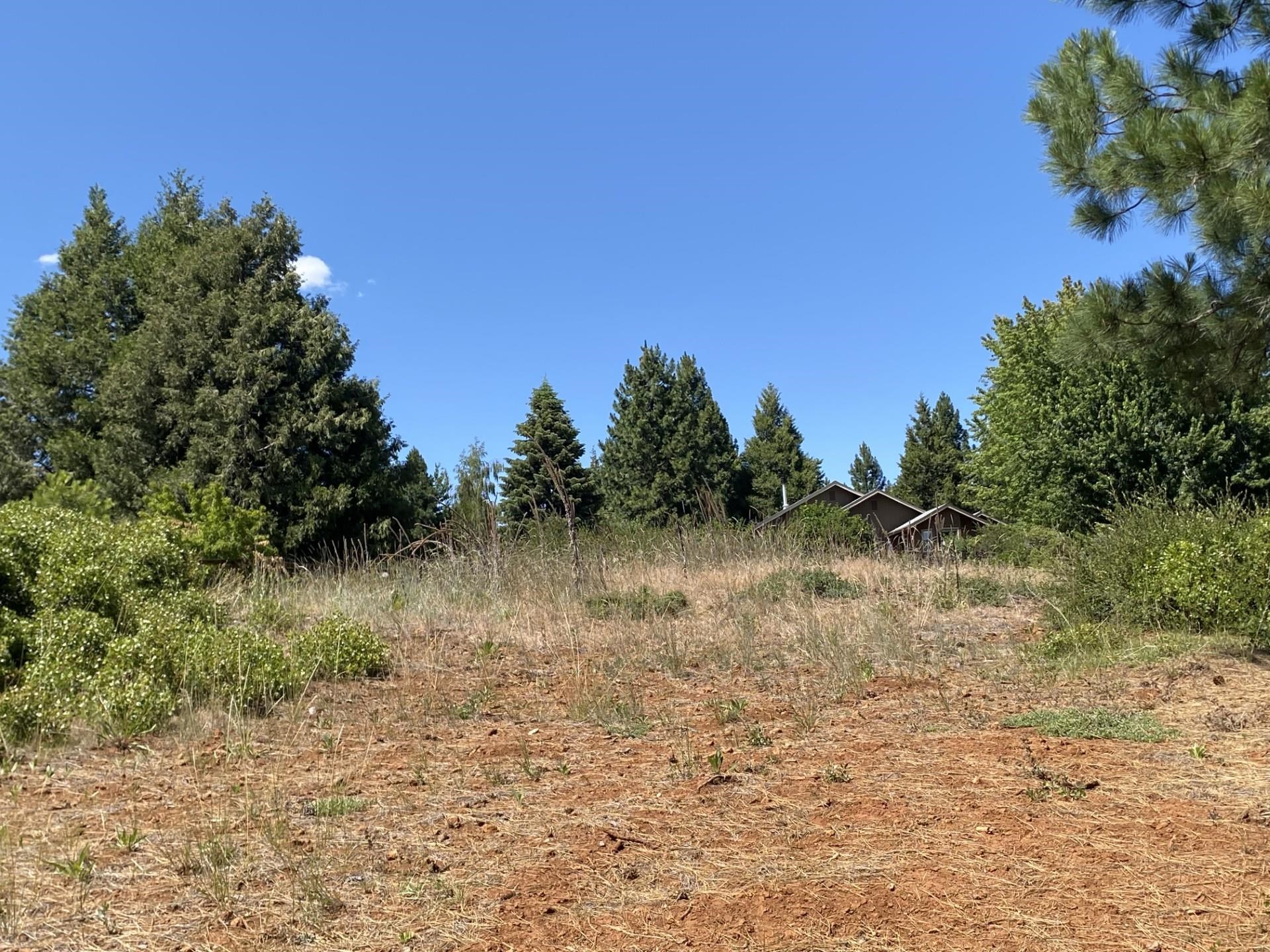 3413 Cedar Lane