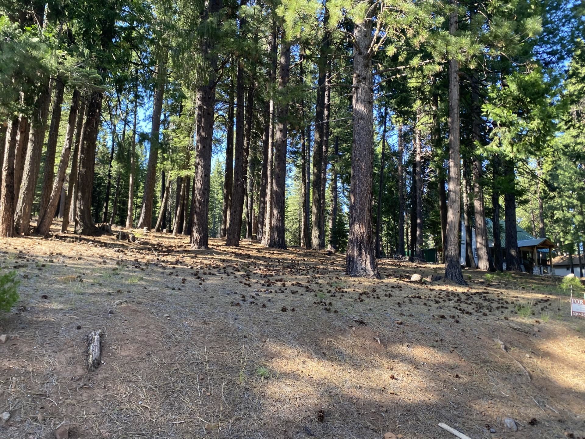 615 E Mountain Ridge Road