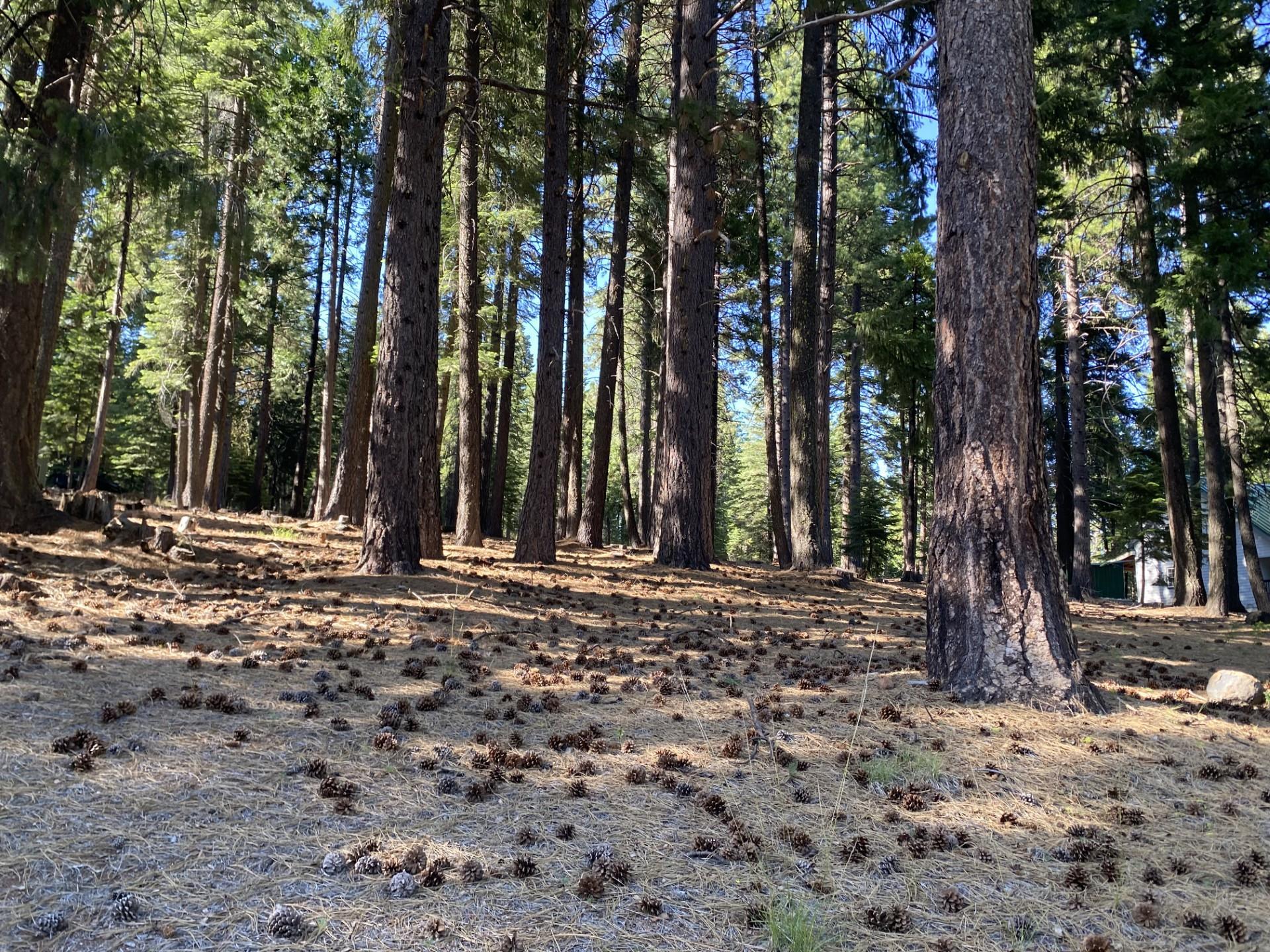 615 E Mountain Ridge Road