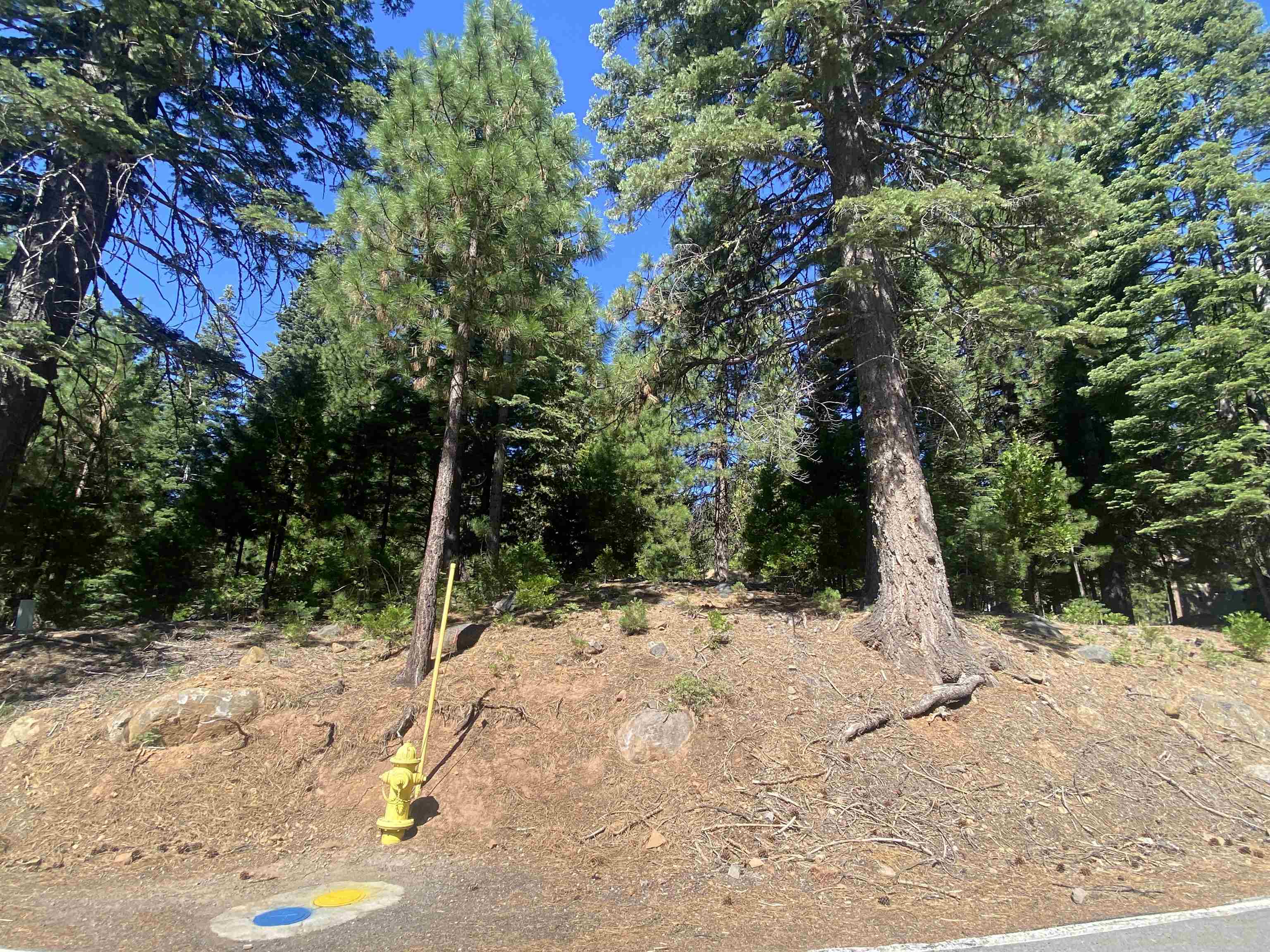 611 E Burnt Cedar Road