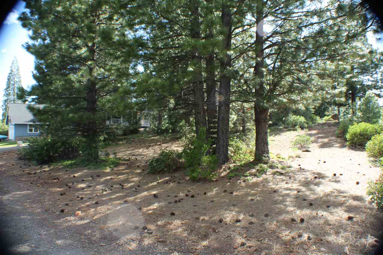 303 Durkin Drive