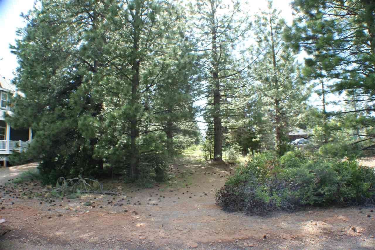 303 Durkin Drive