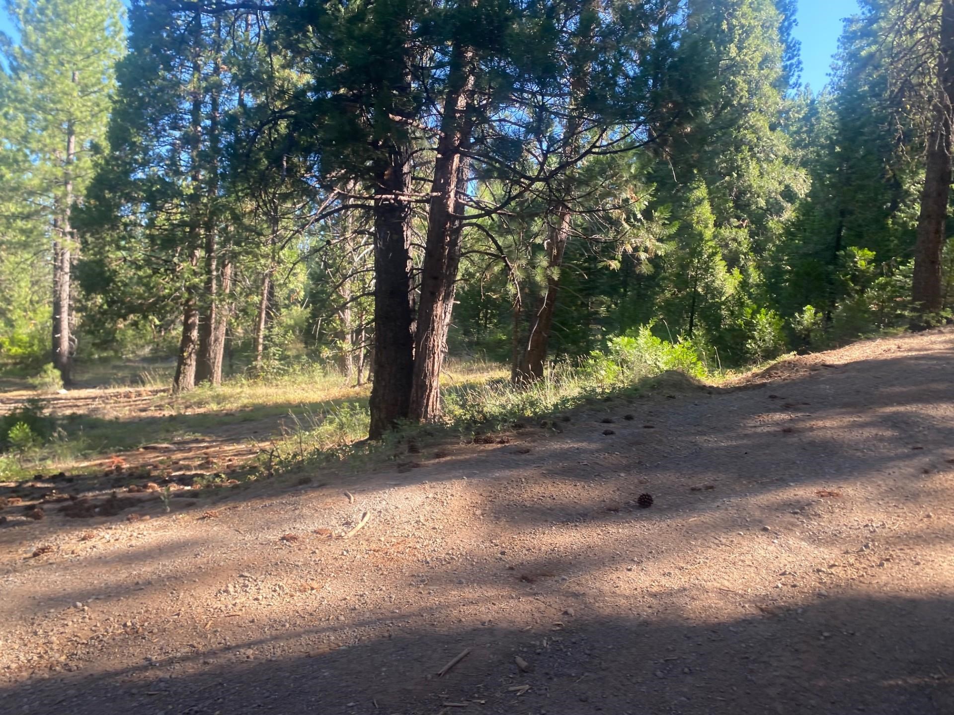 7500 Highway 147