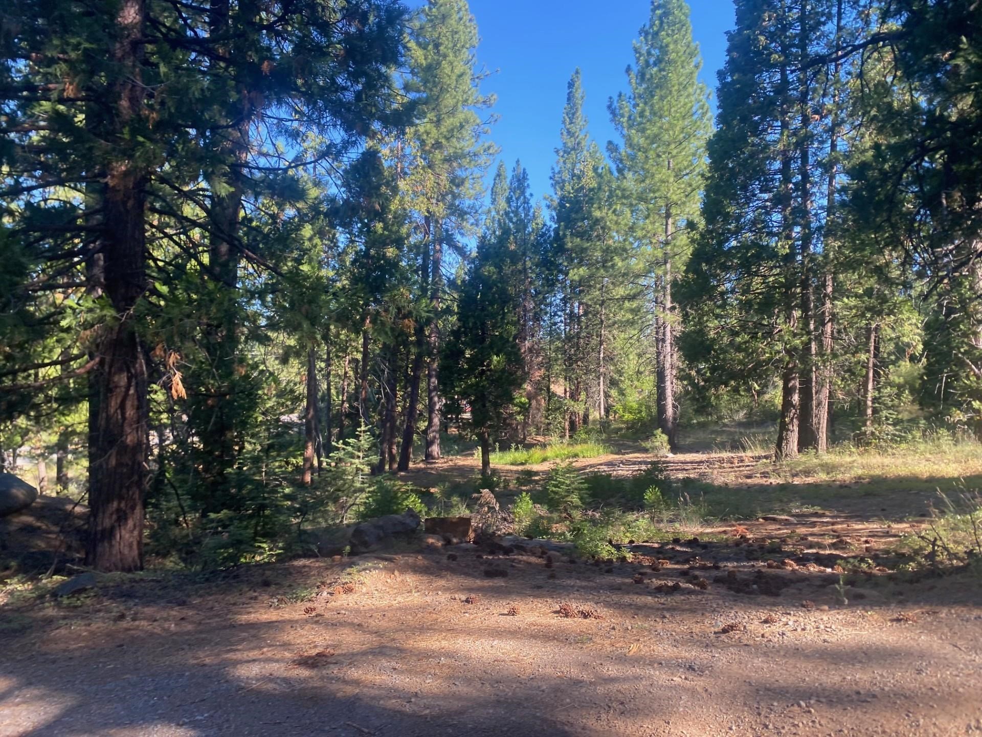 7500 Highway 147