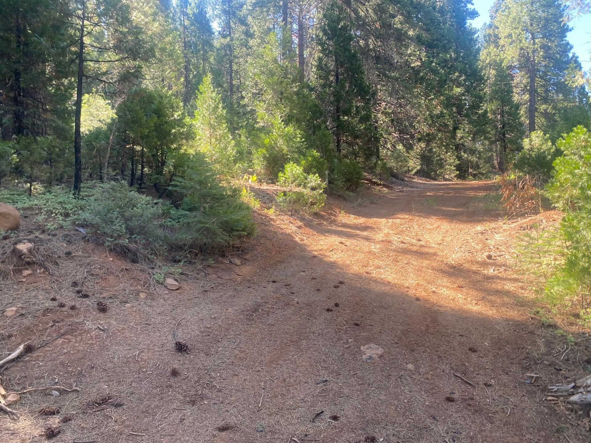 7500 Highway 147