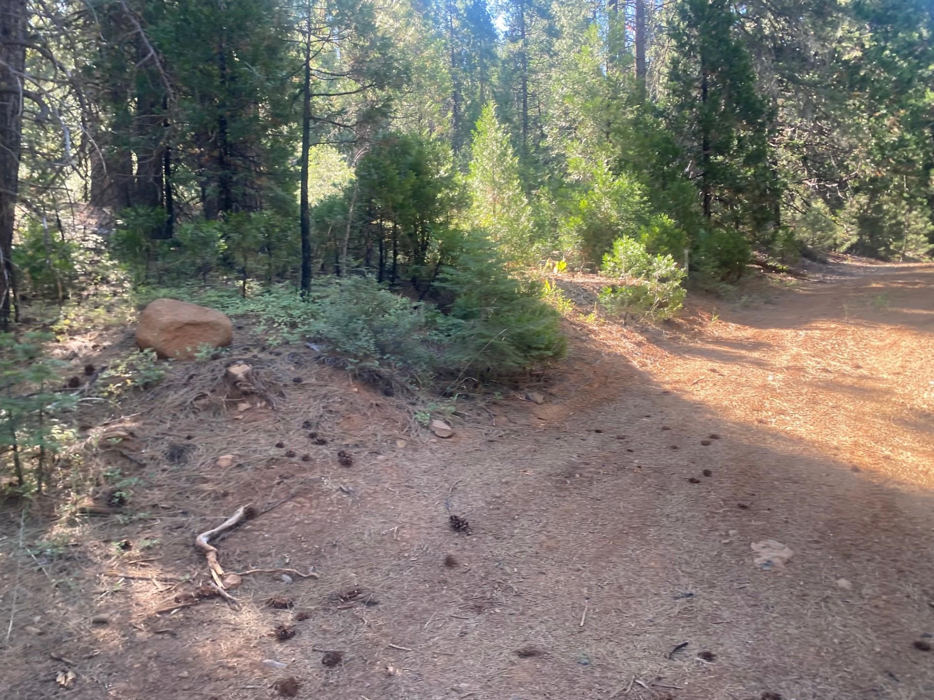 7500 Highway 147