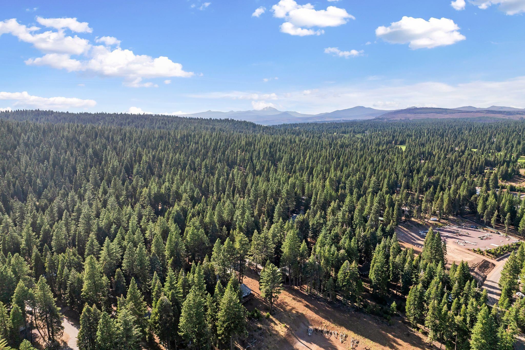 450 Ponderosa Drive