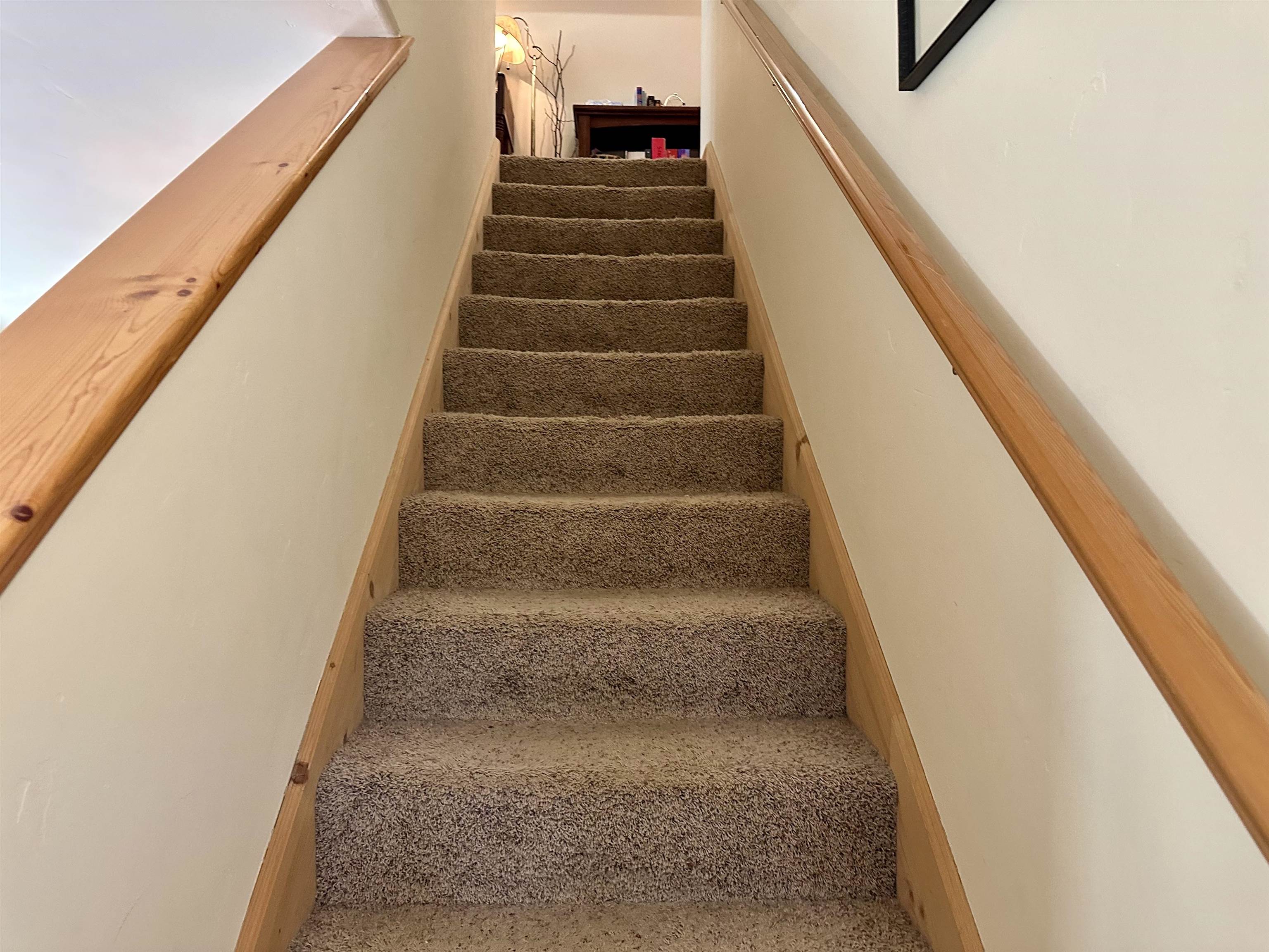 642 W Burnt Cedar Road