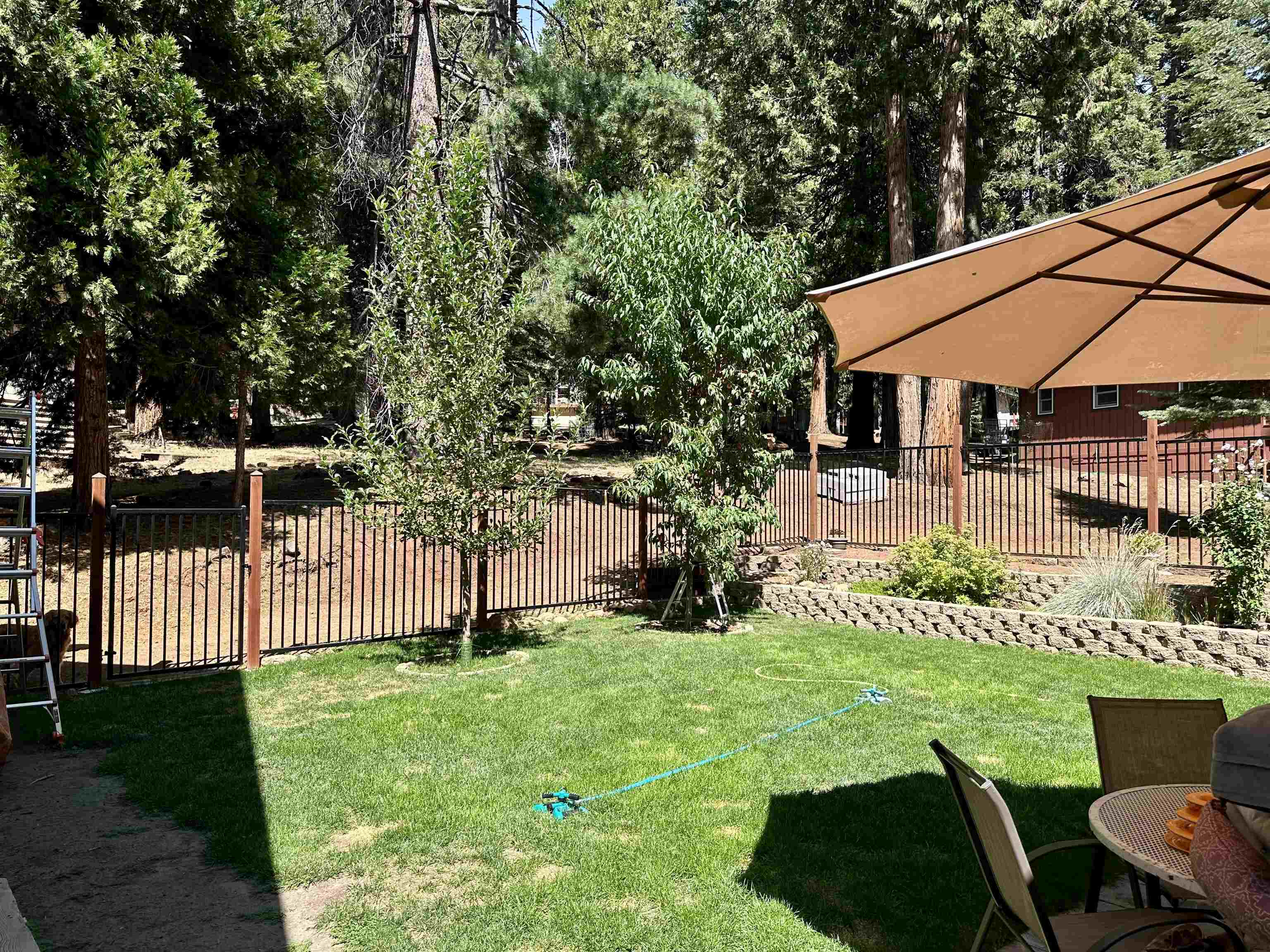 642 W Burnt Cedar Road