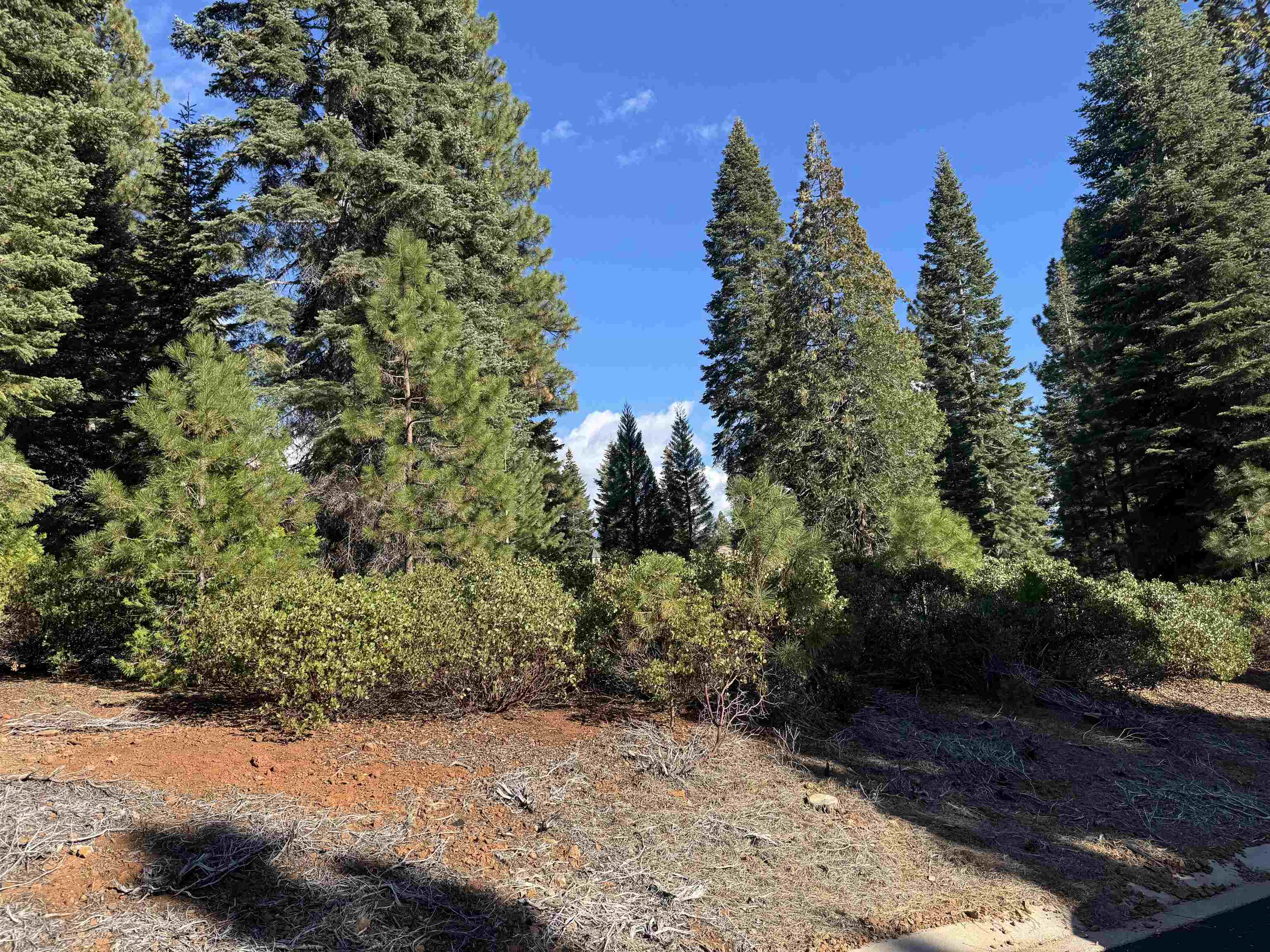 245 Fox Crest Drive