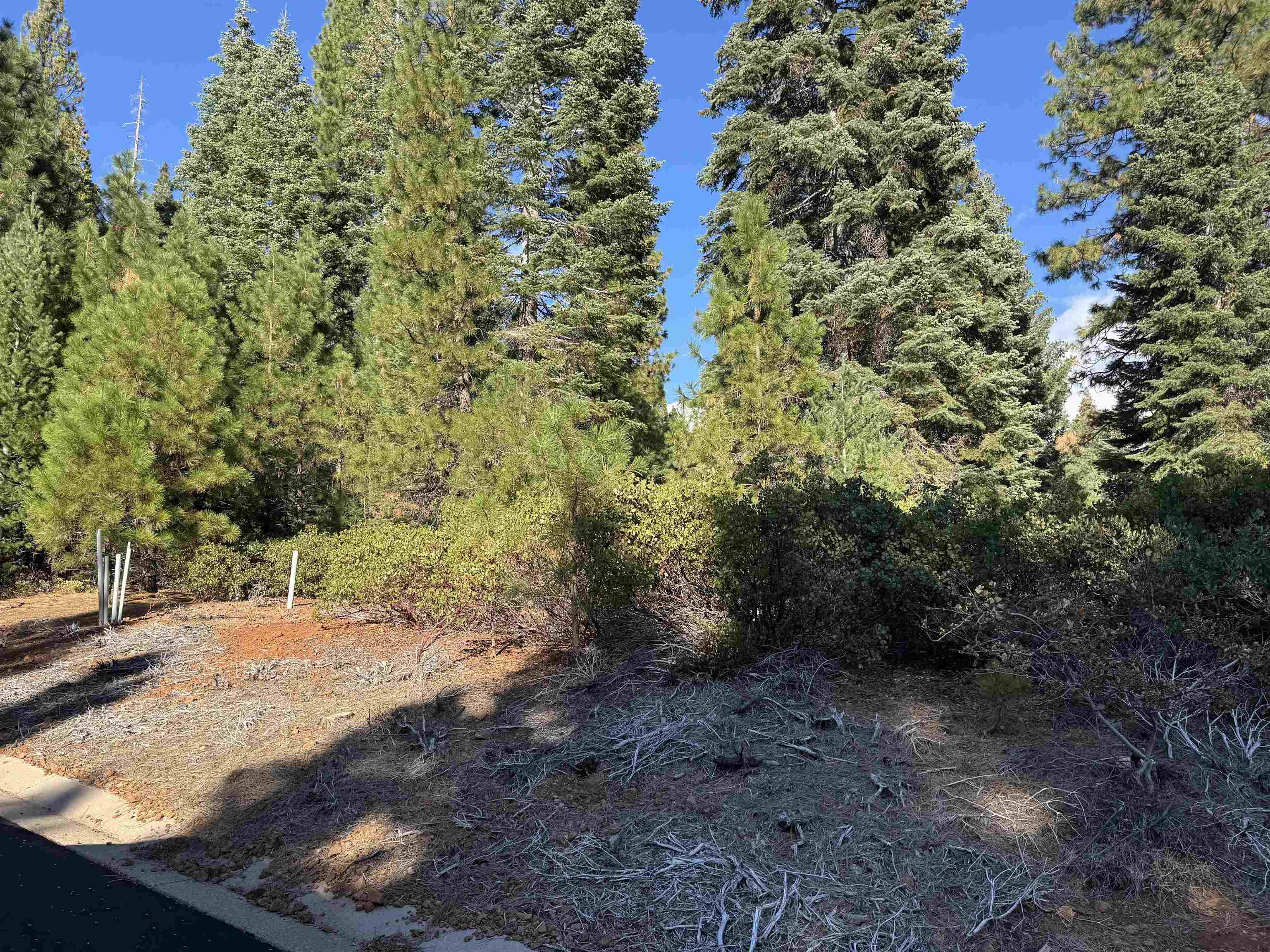 245 Fox Crest Drive