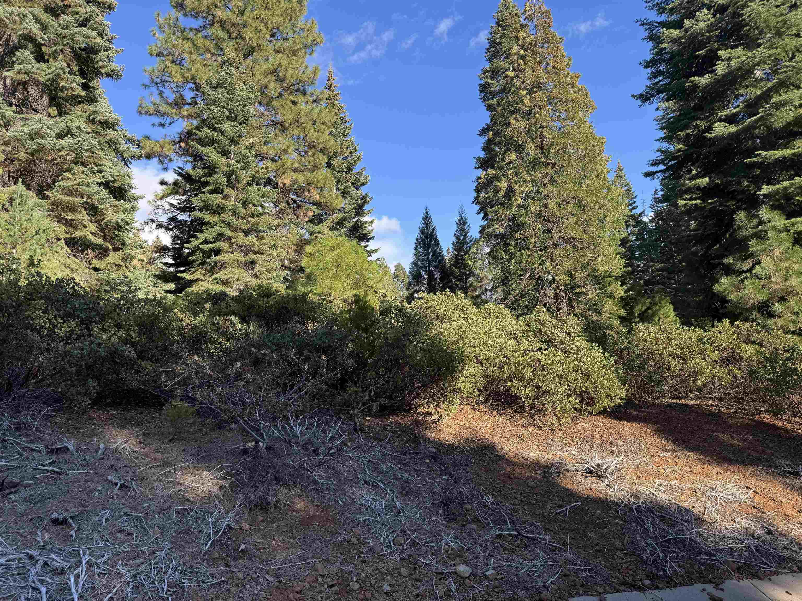 259 Fox Crest Drive