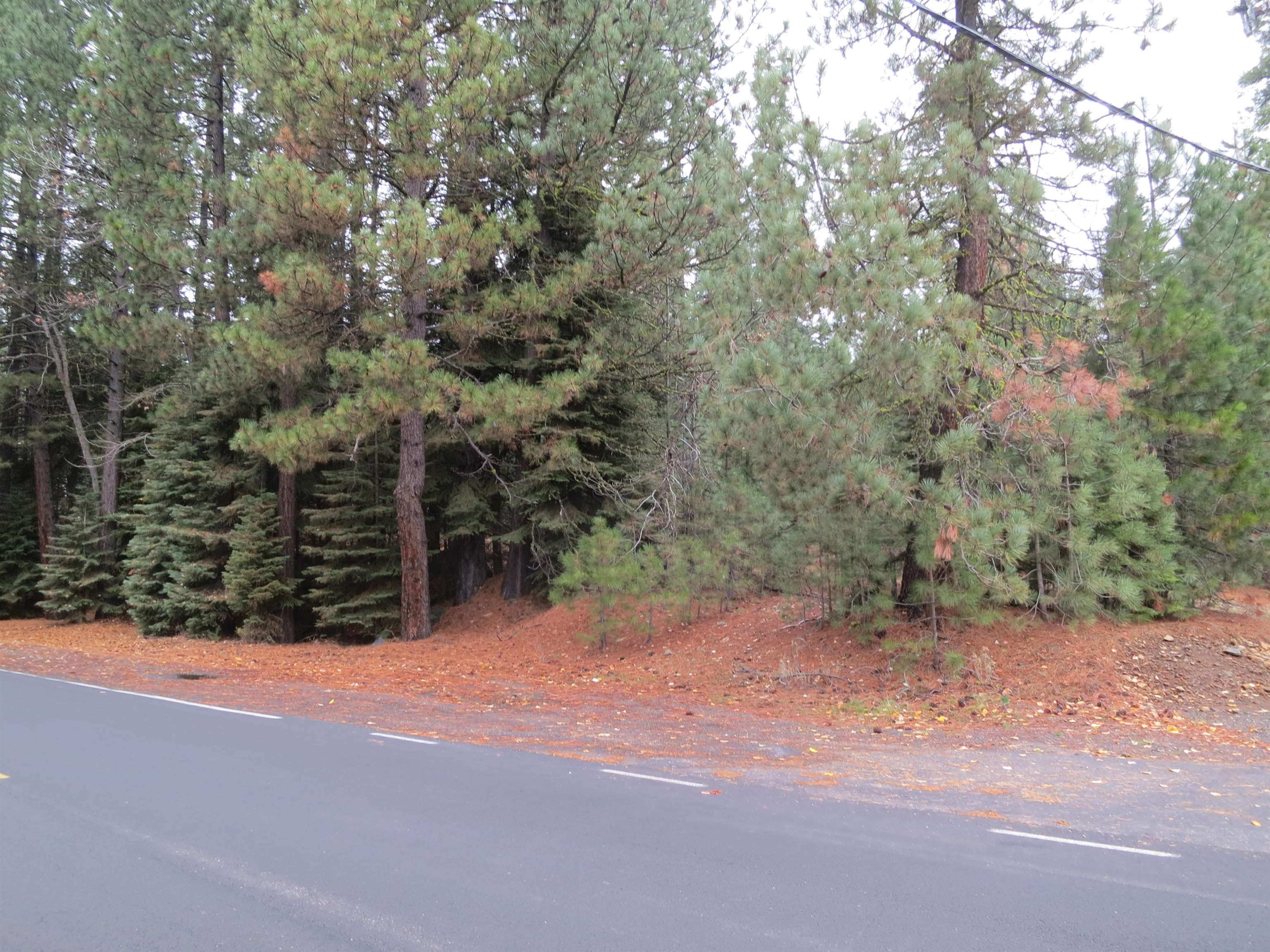 740 Feather River Drive