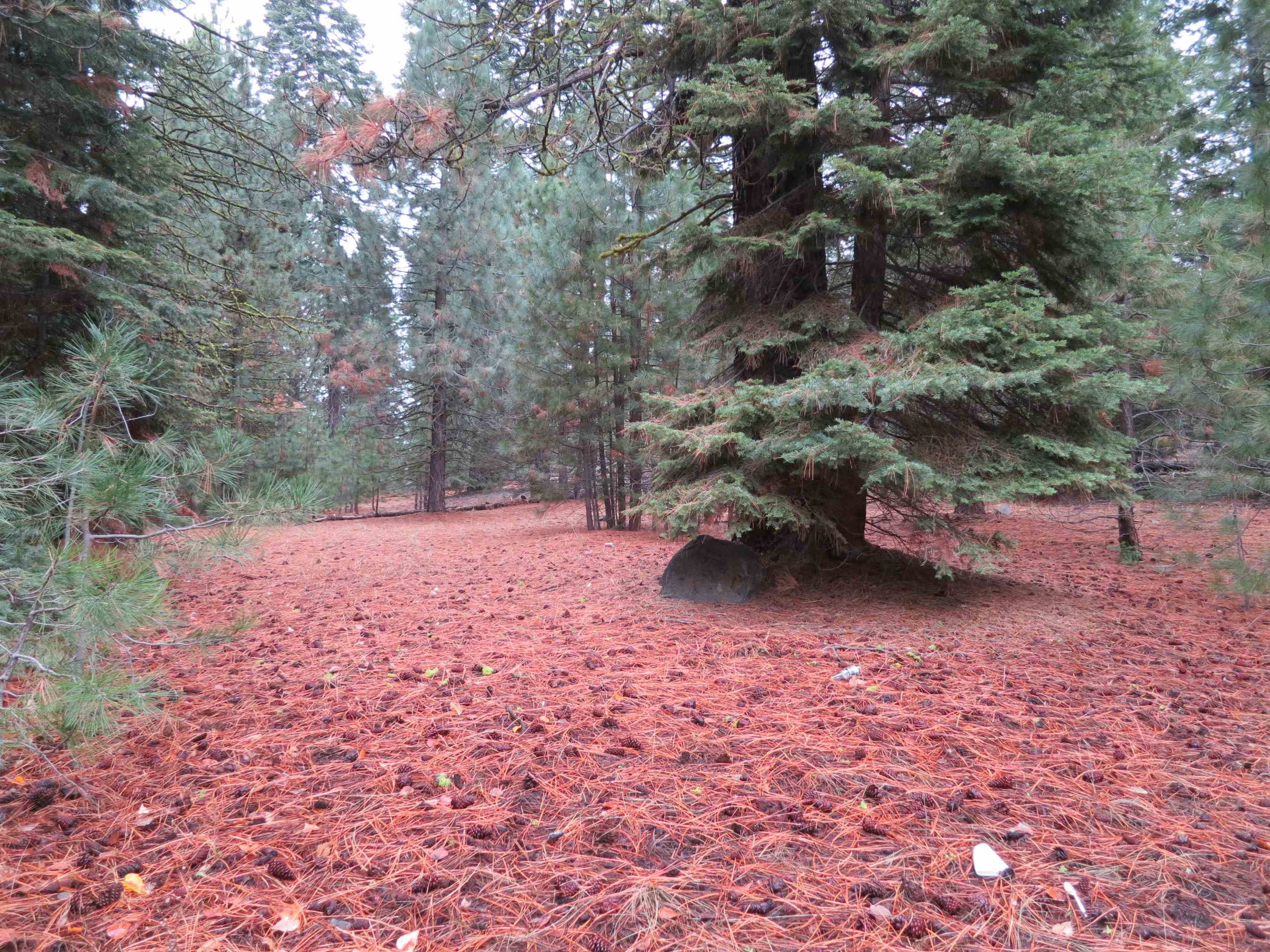 740 Feather River Drive