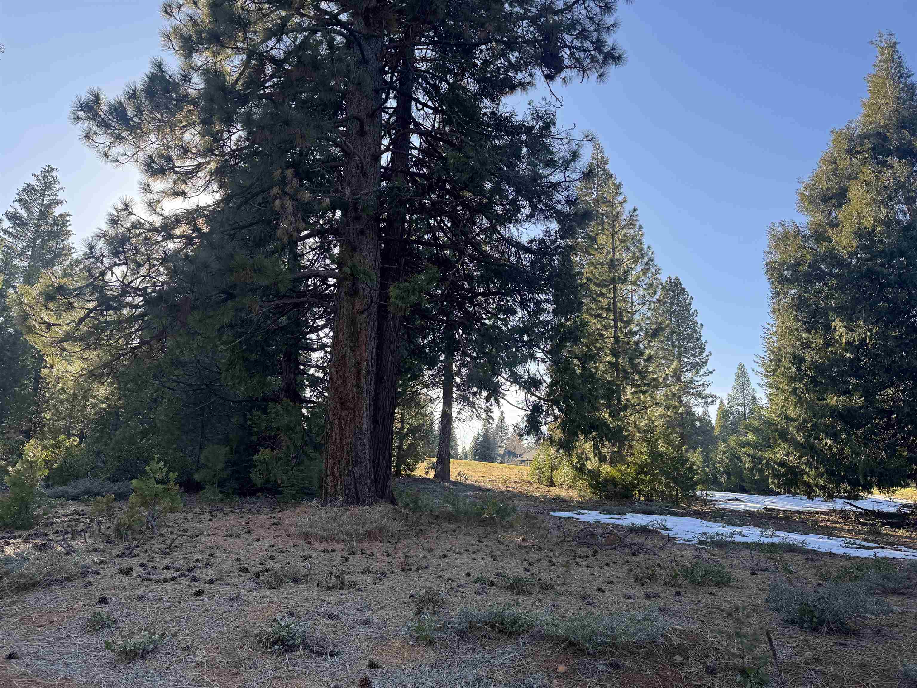 185 Red River Drive