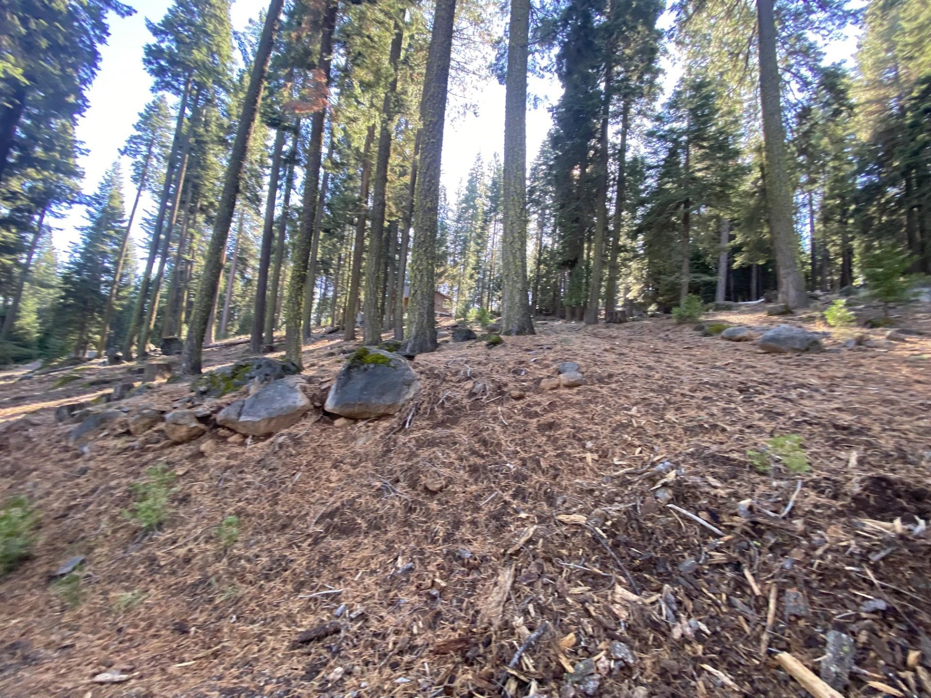 168 Slim Drive