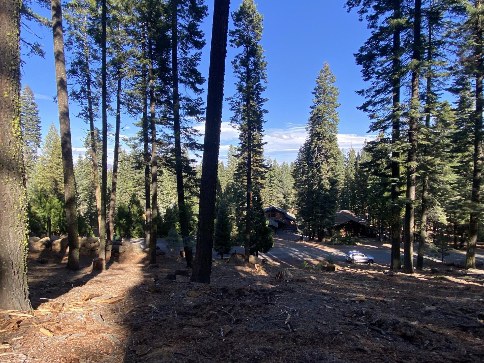 168 Slim Drive
