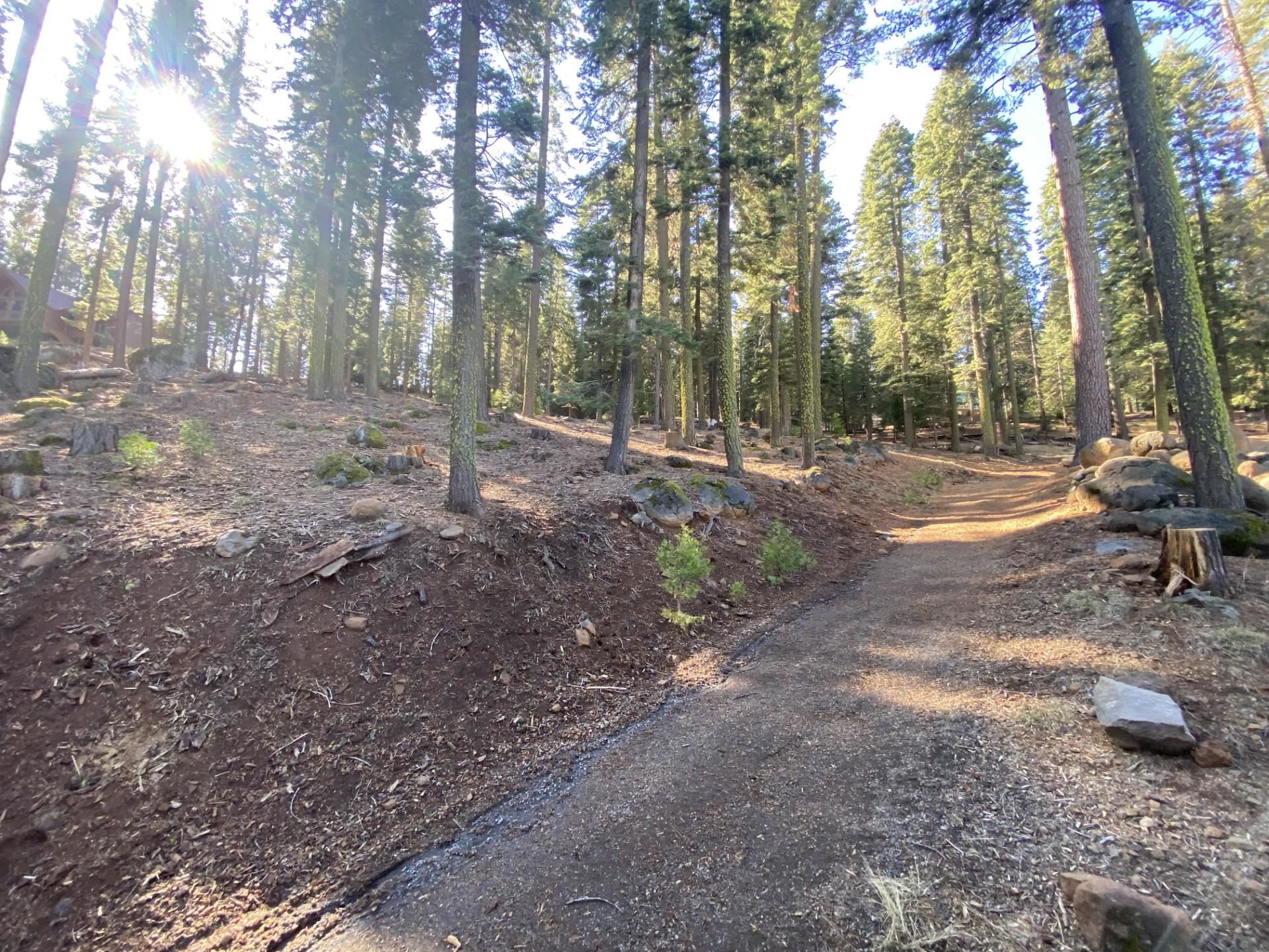 168 Slim Drive