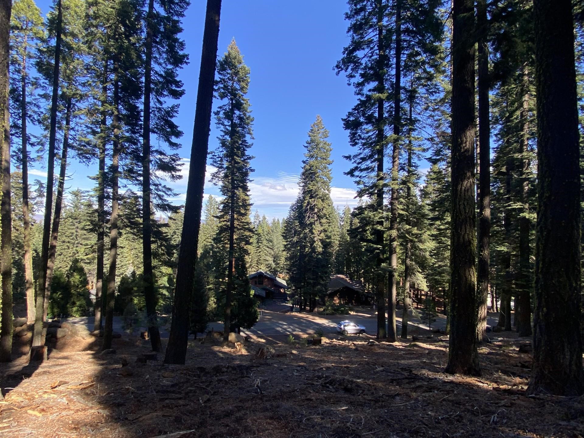 168 Slim Drive