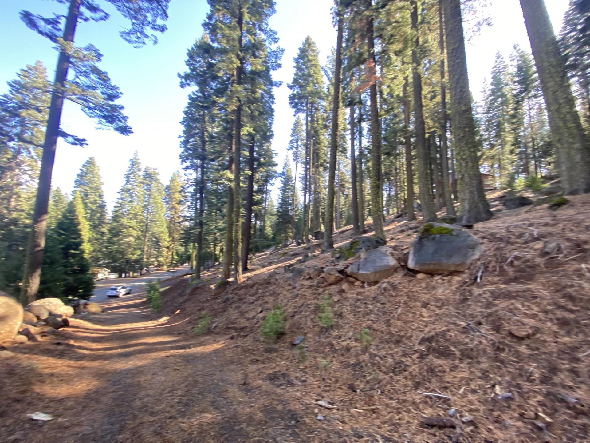 168 Slim Drive