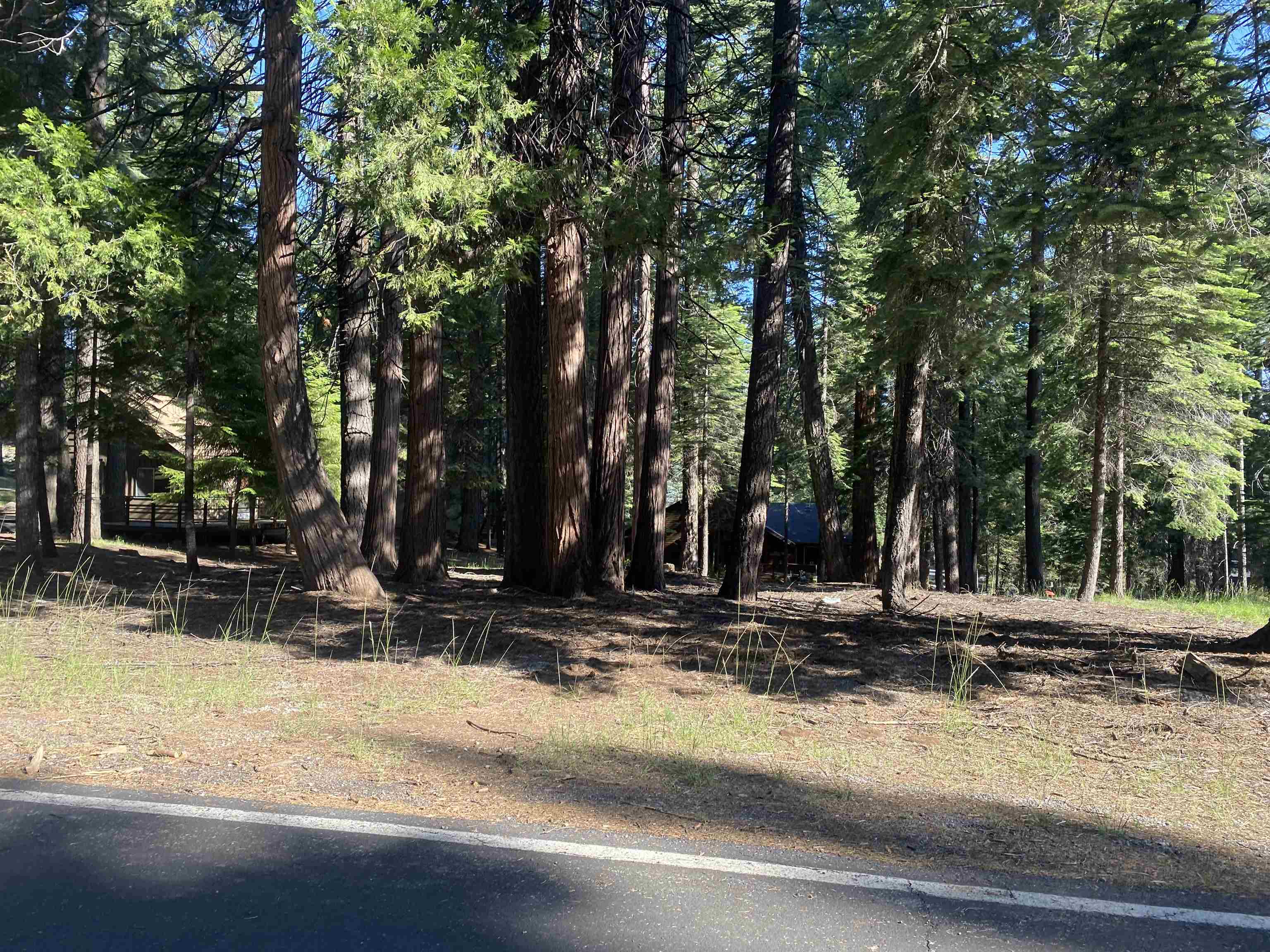 301 Black Oak Drive
