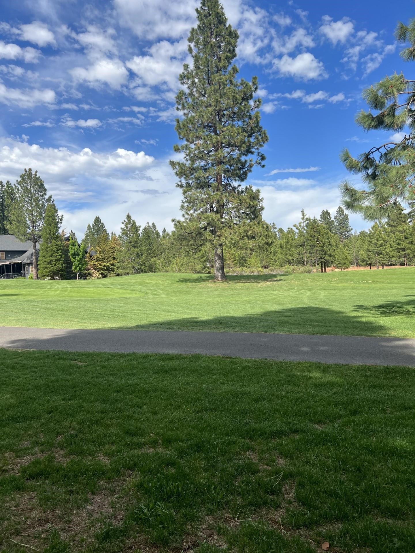 55 Creekhaven Drive