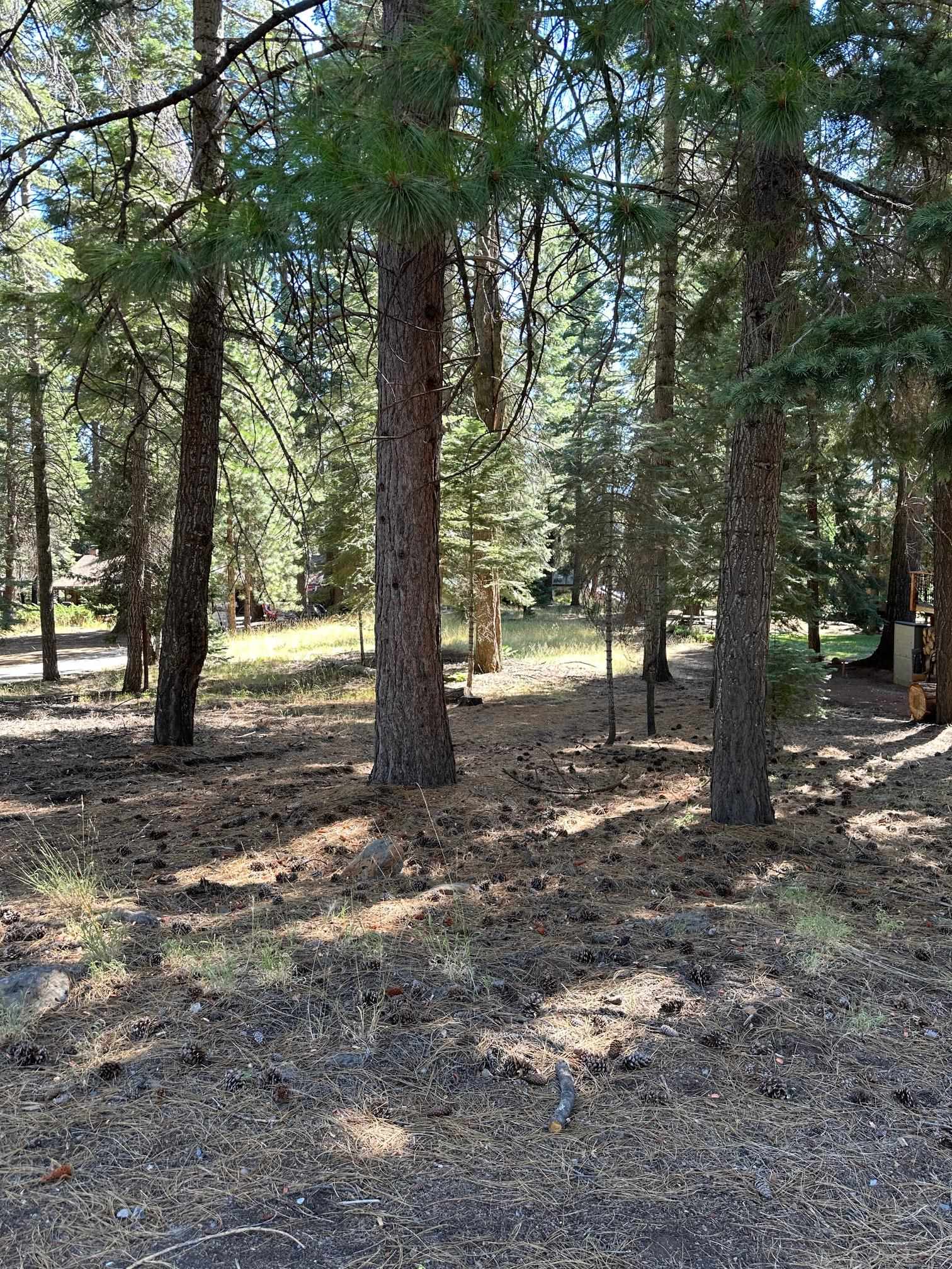 1276 Lassen View Drive