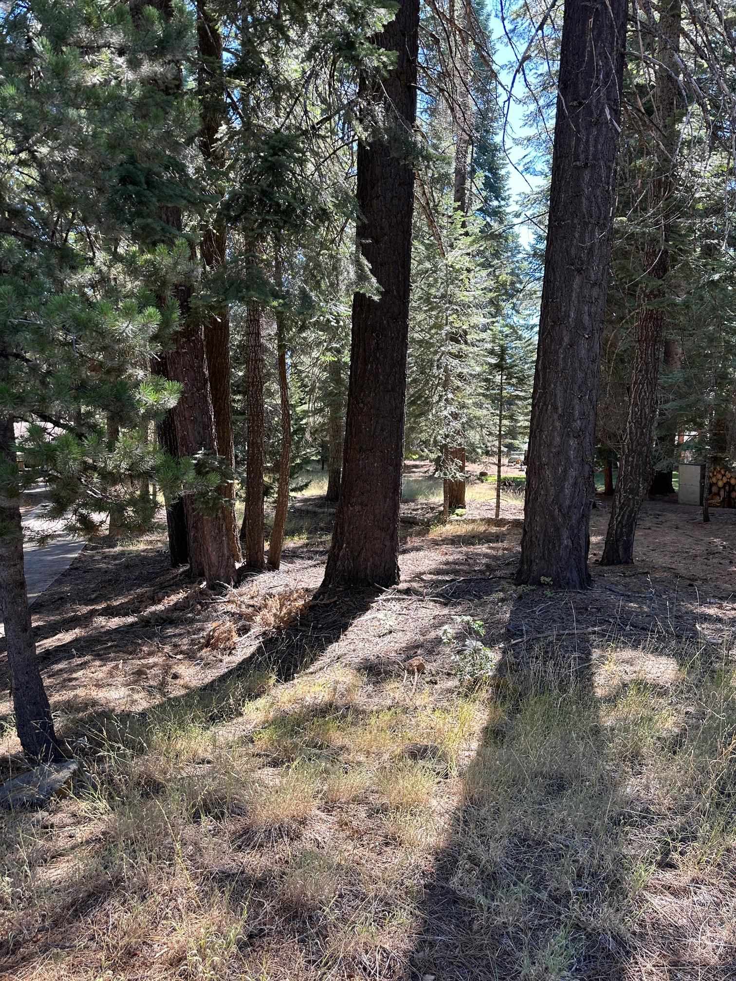 1276 Lassen View Drive