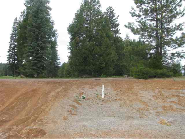 379 Terranova Drive