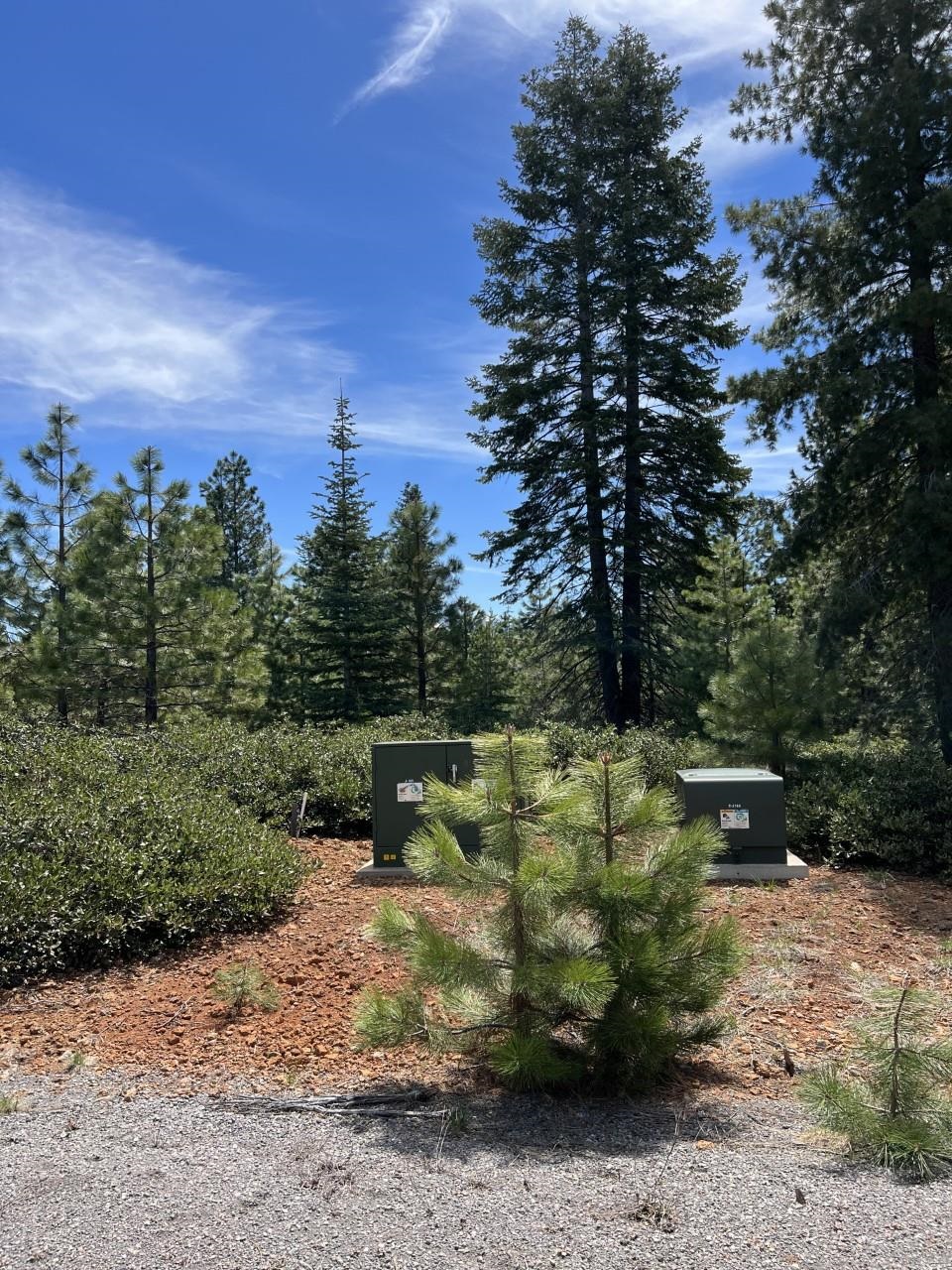 212 Treetop Circle