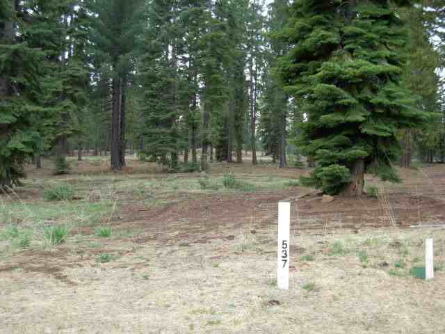 36 Winterwood Drive