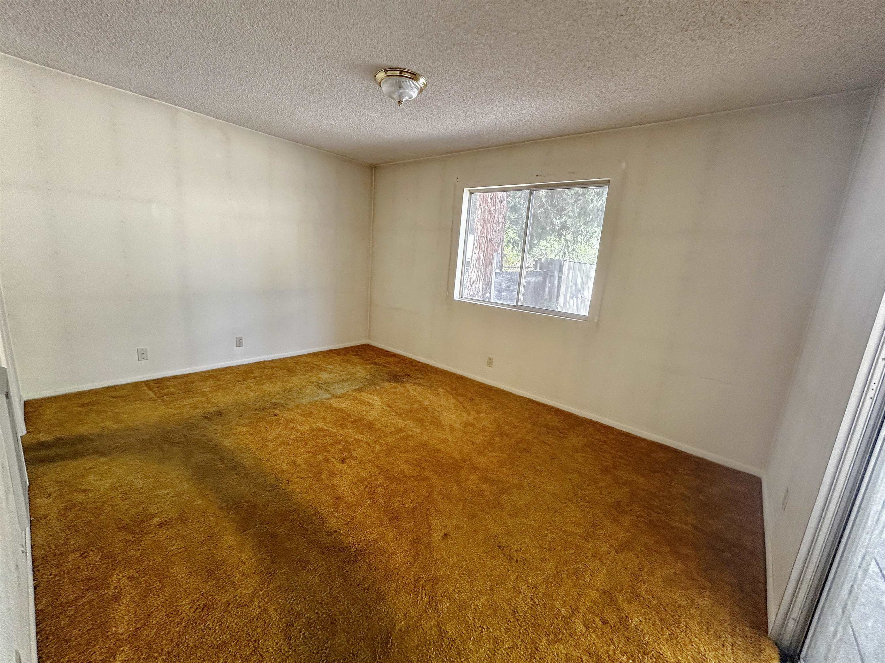 3801 Mary Ann Lane