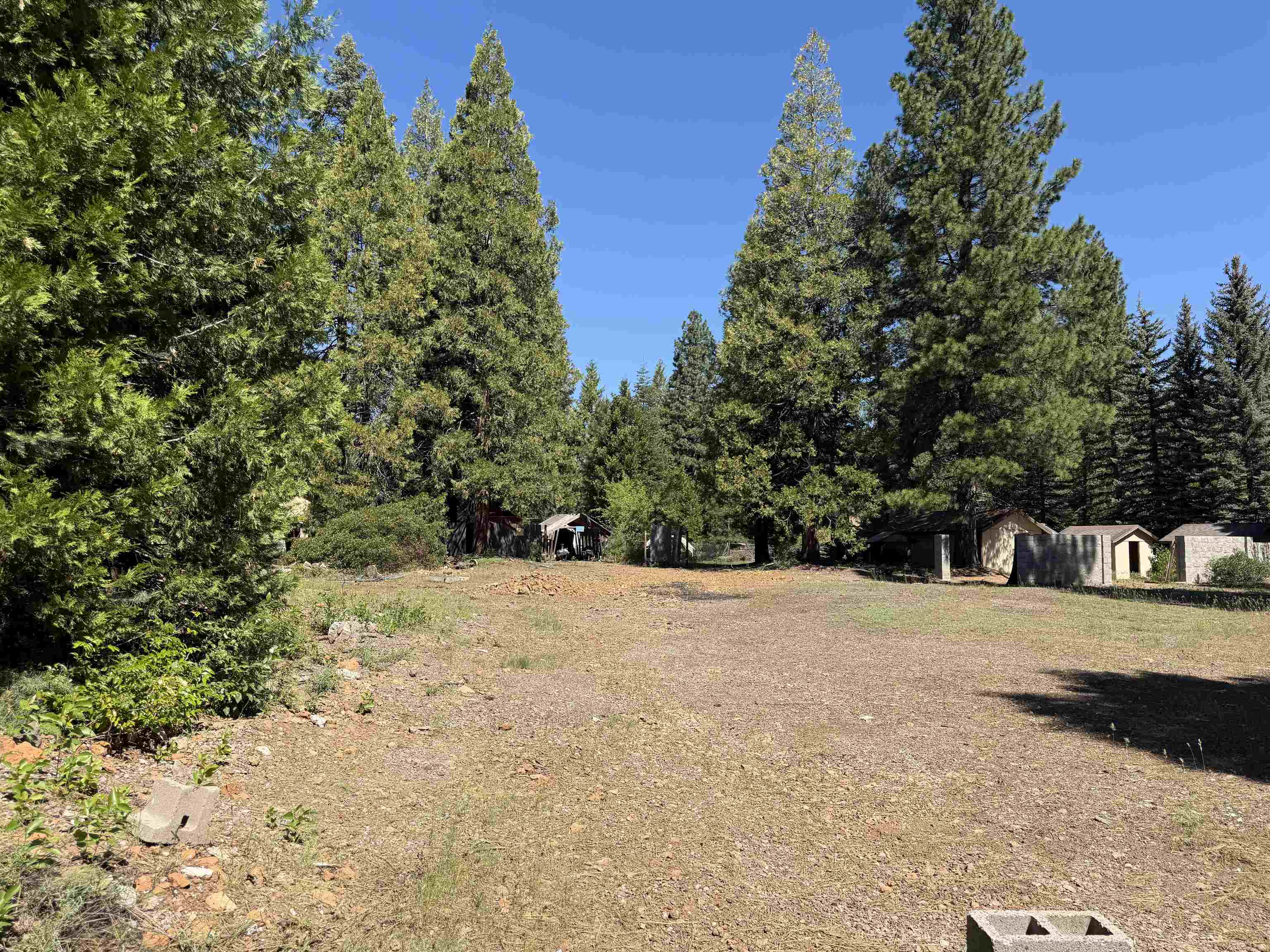 3809 Mary Ann Lane