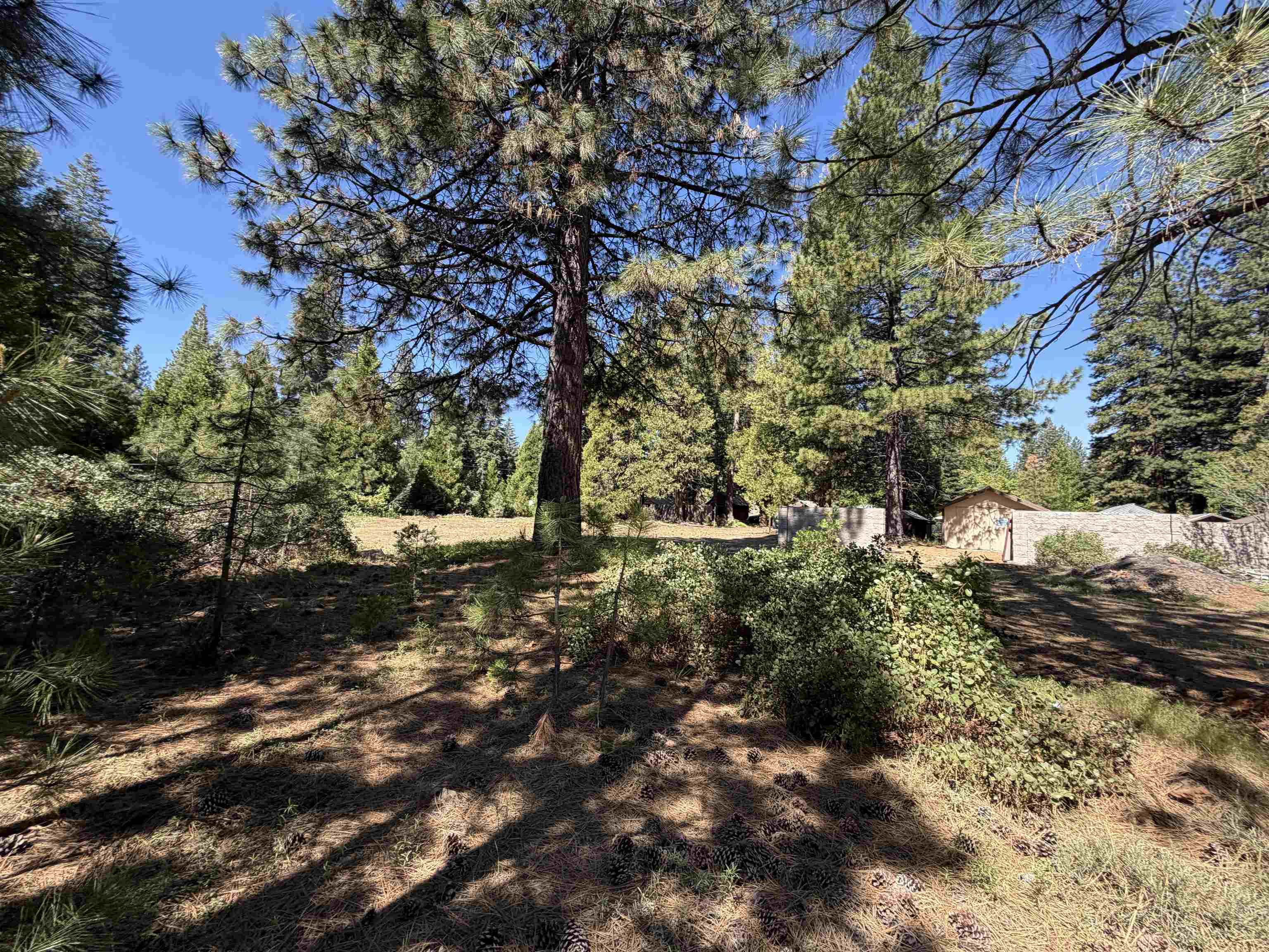 3809 Mary Ann Lane