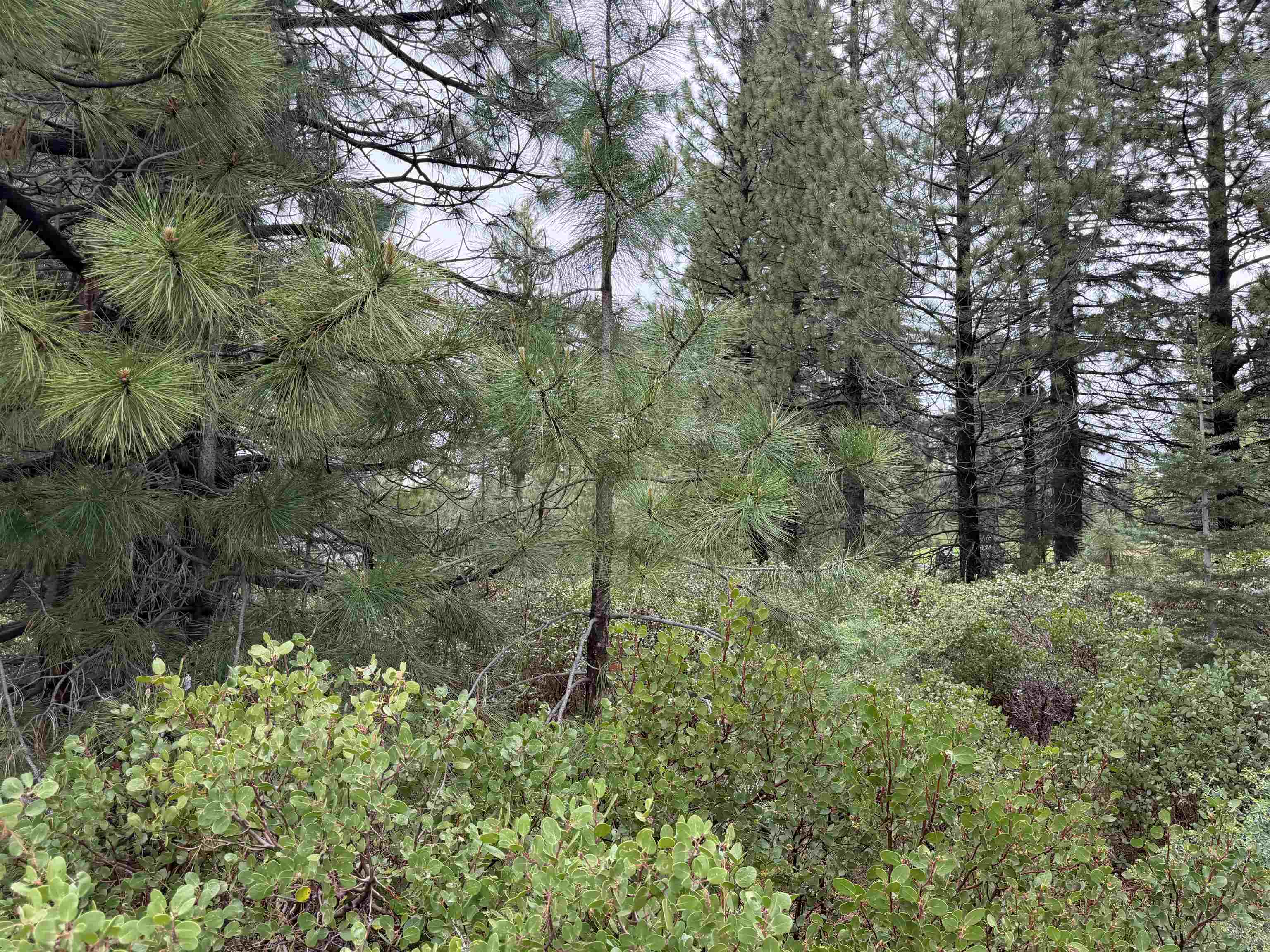 305 Bailey Creek Drive
