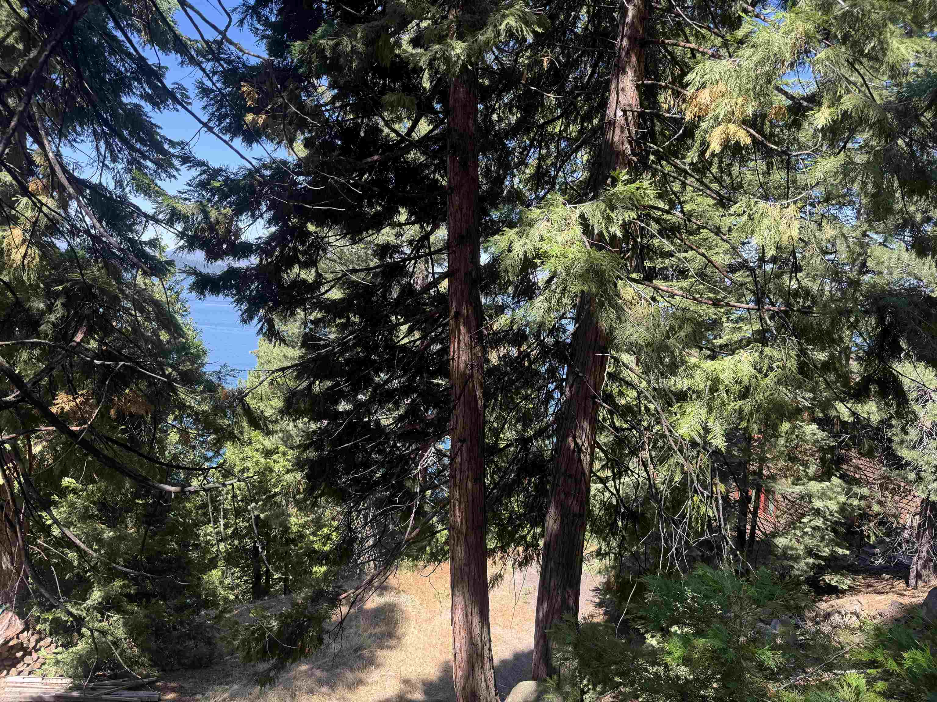 739 Lassen View Drive