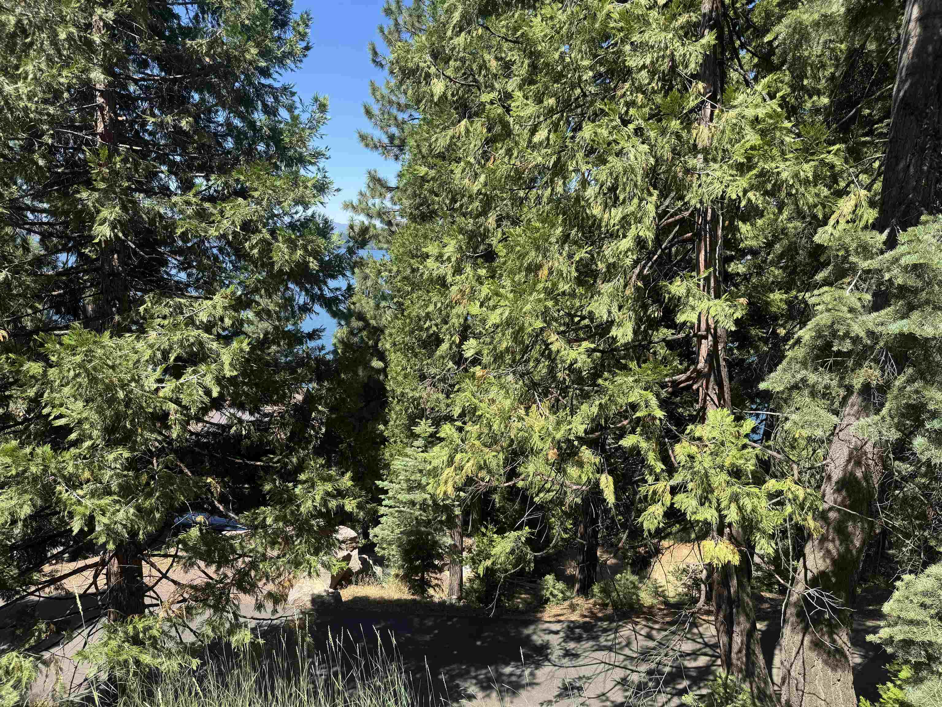 739 Lassen View Drive