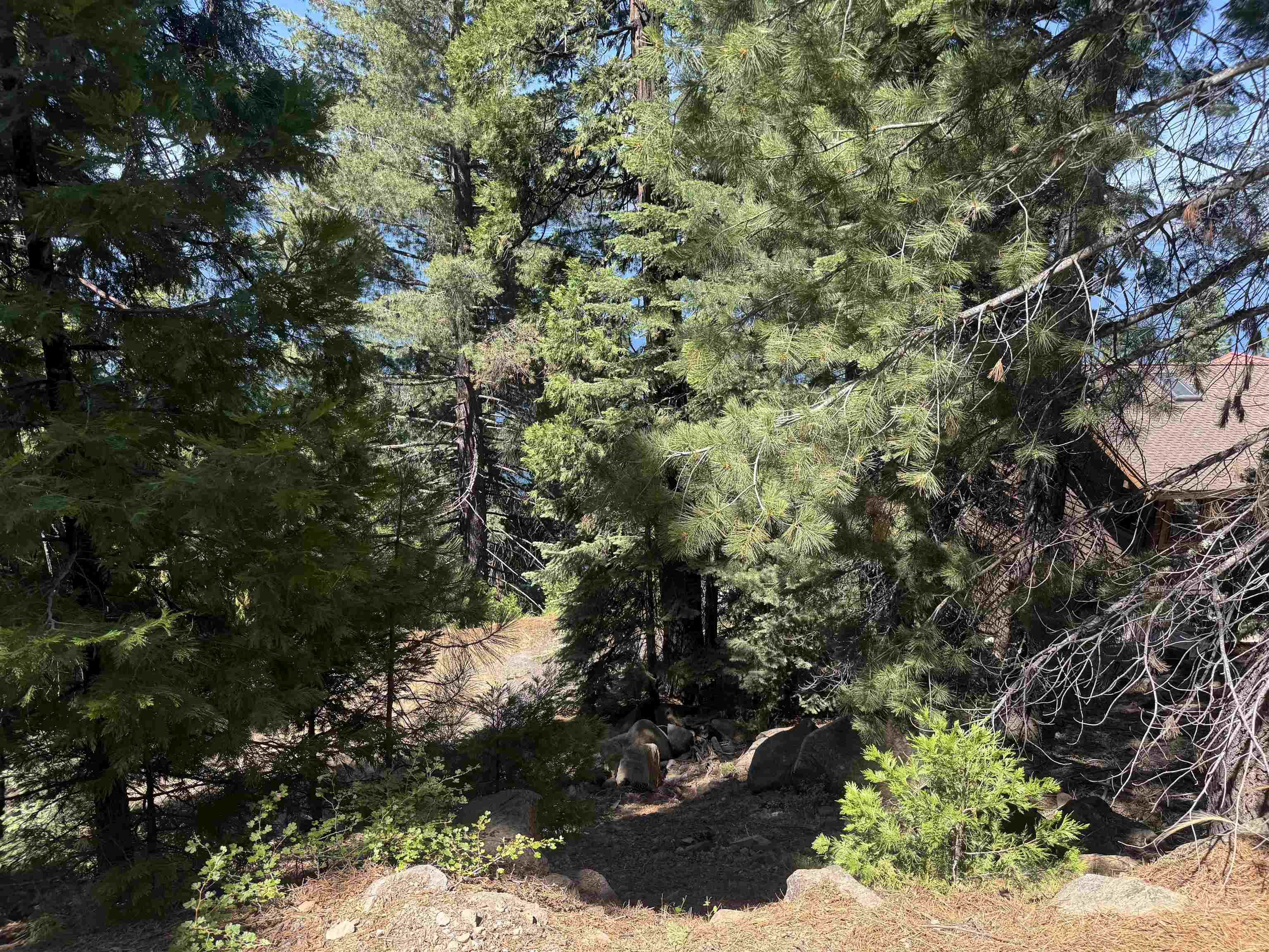 739 Lassen View Drive