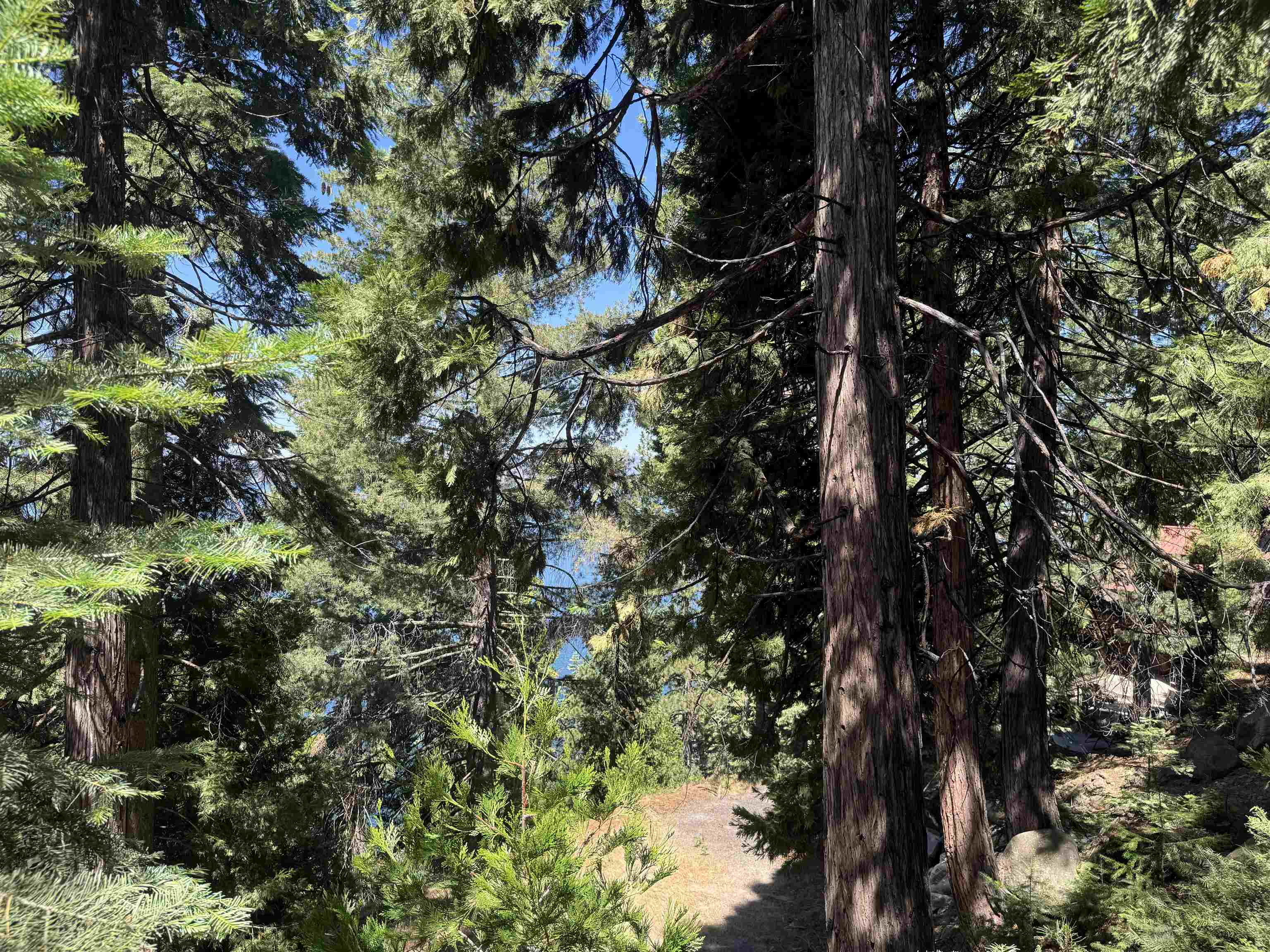 739 Lassen View Drive