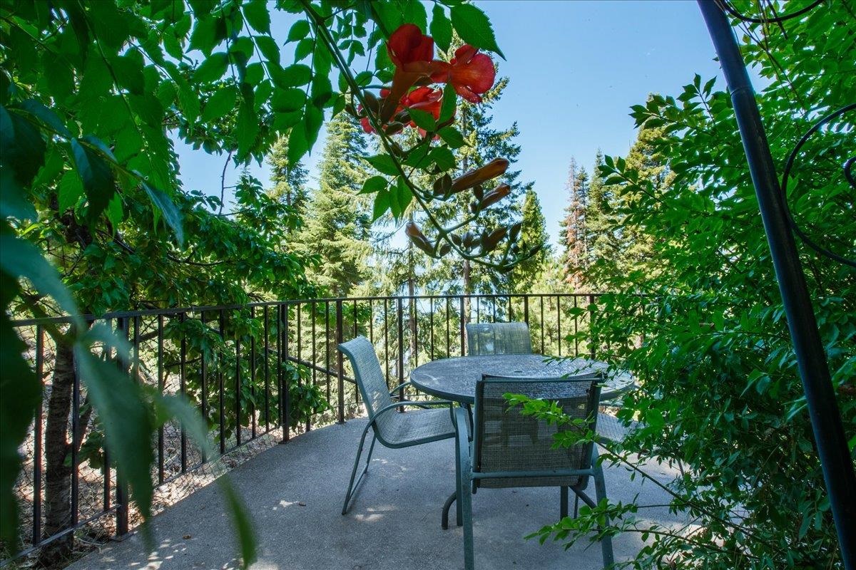 1119 Lassen View Drive