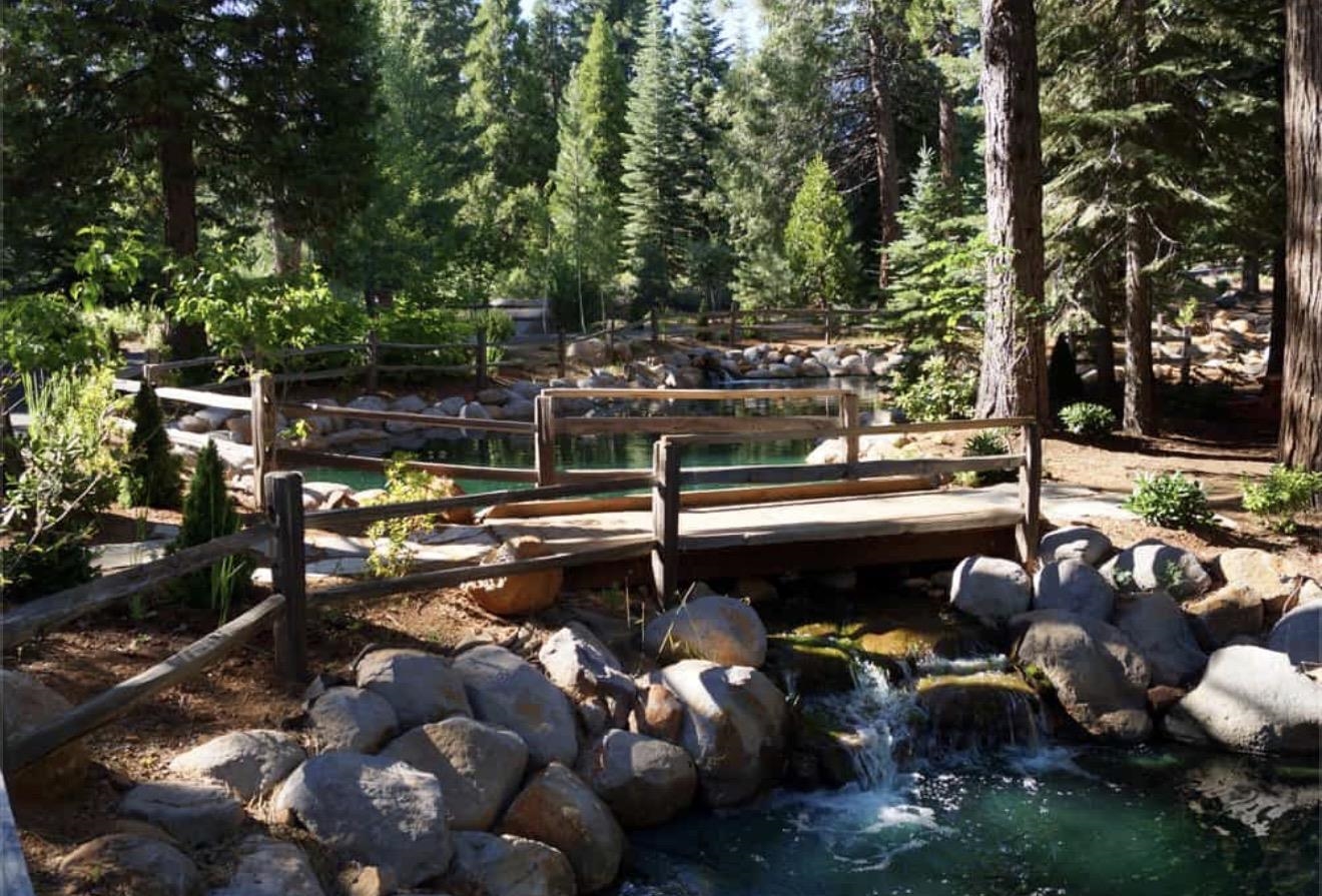 319 Alpine Fir Road