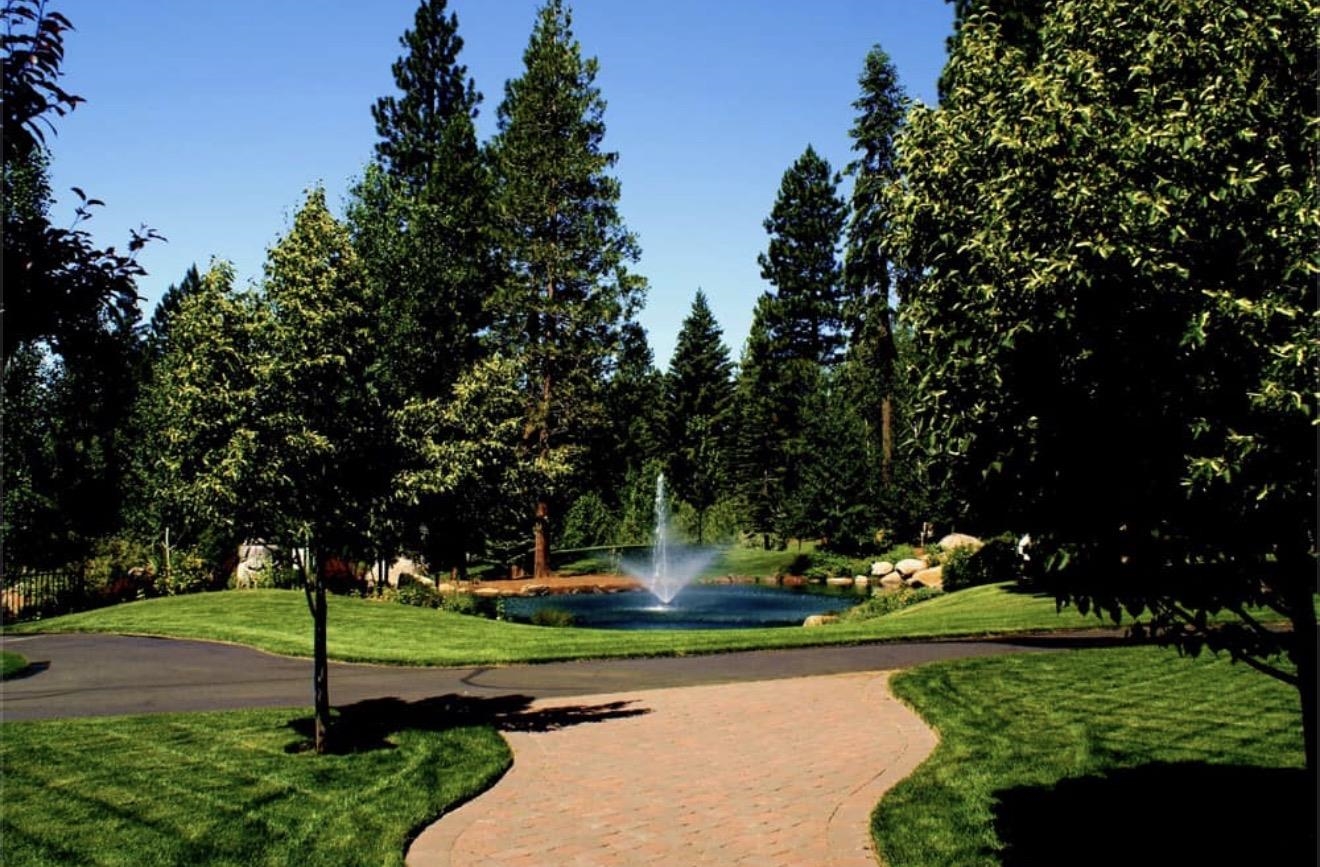 319 Alpine Fir Road