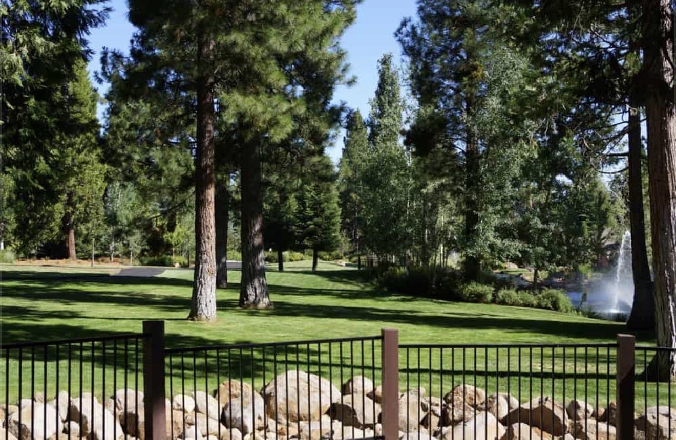 319 Alpine Fir Road