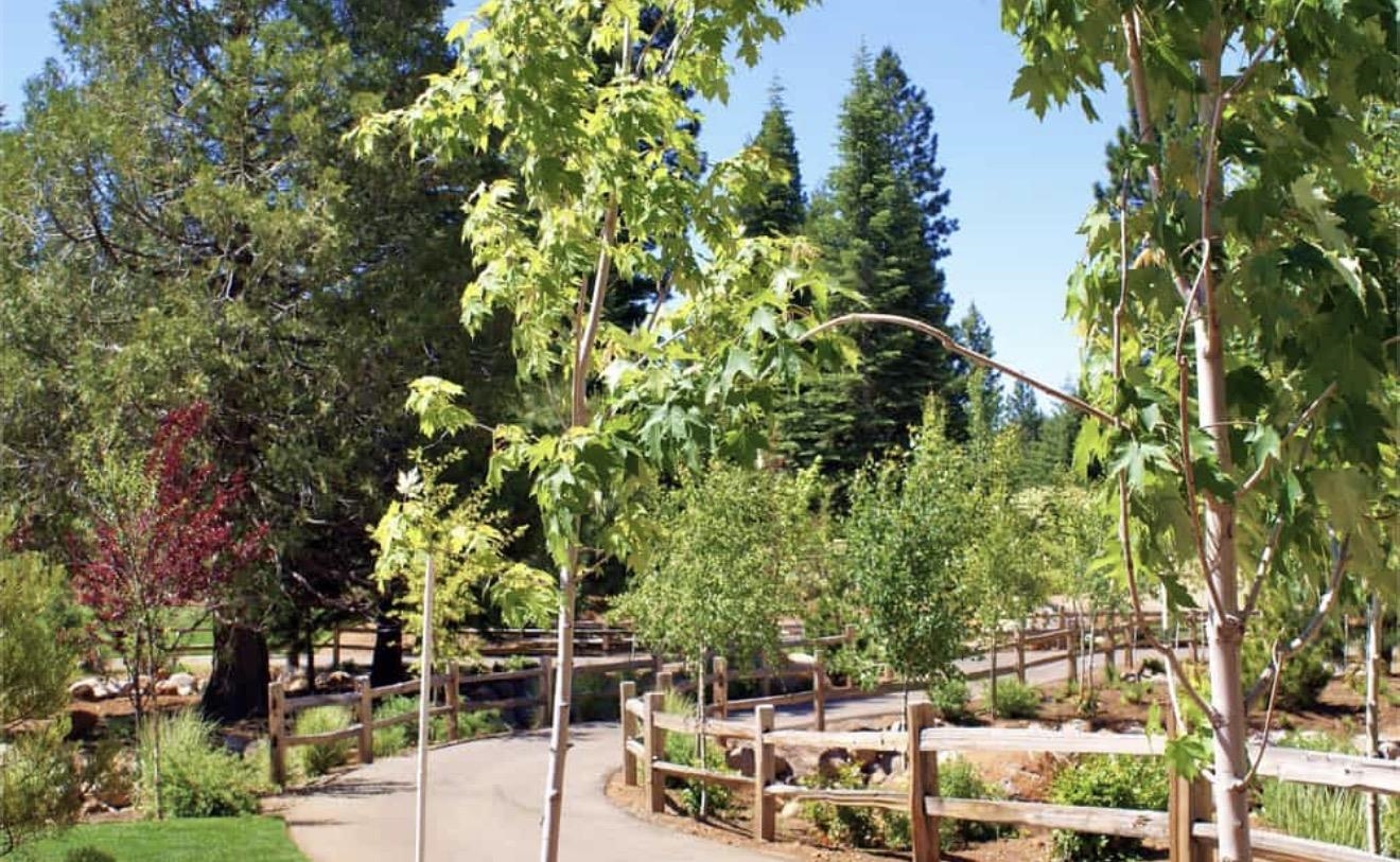 319 Alpine Fir Road