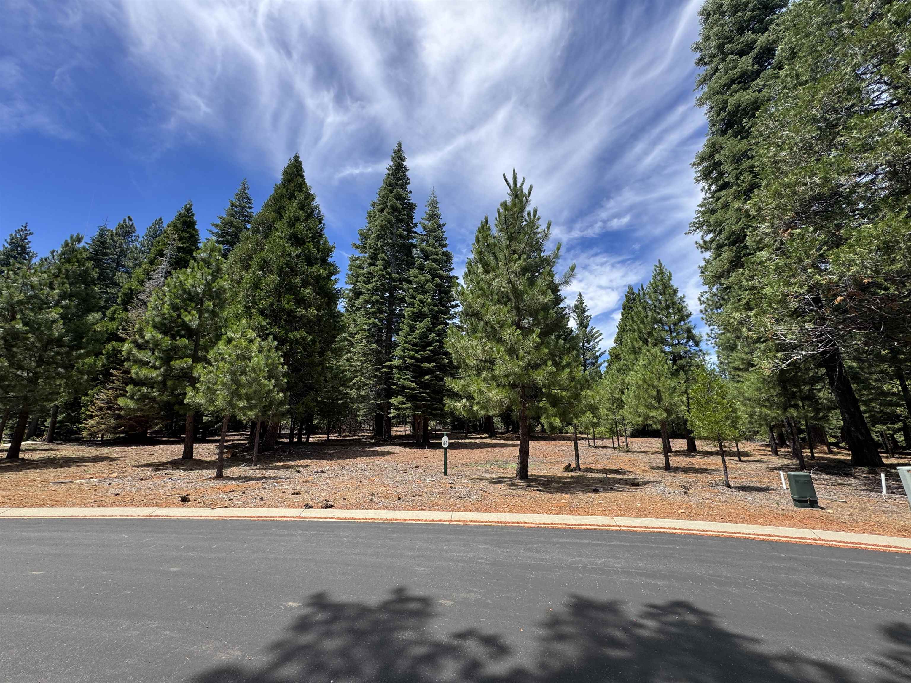 319 Alpine Fir Road