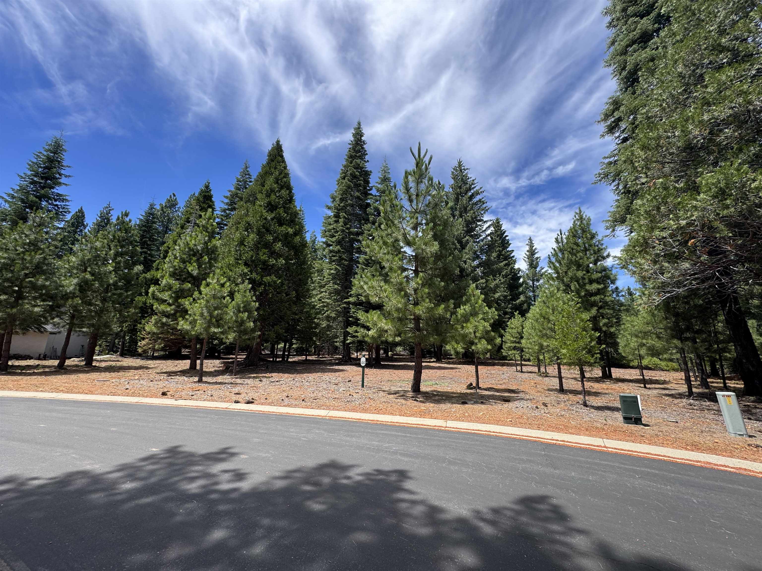 319 Alpine Fir Road