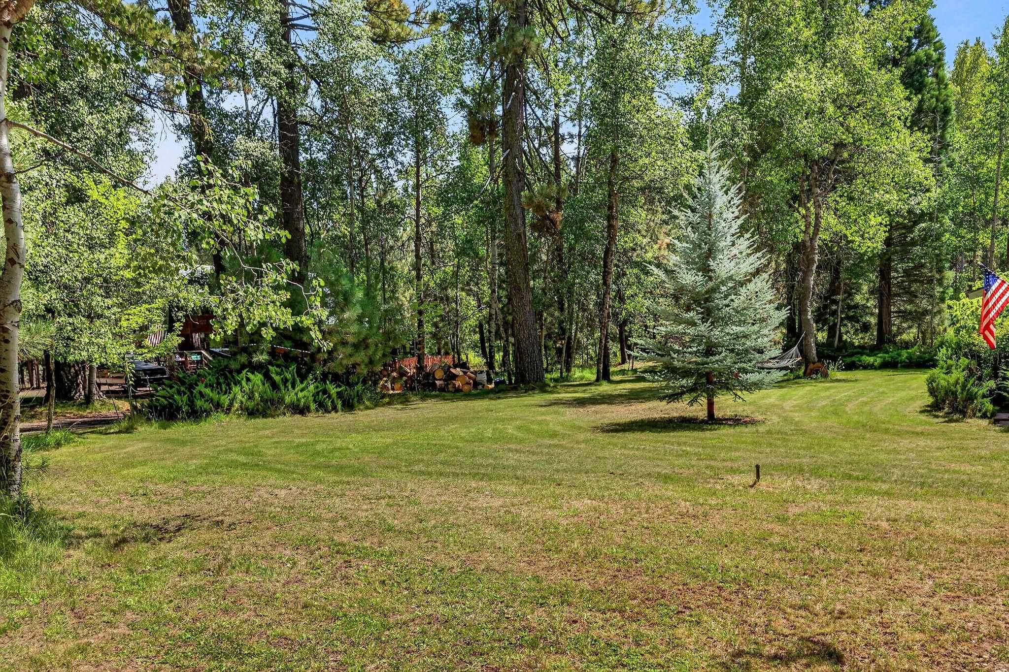 735 Feather River Drive