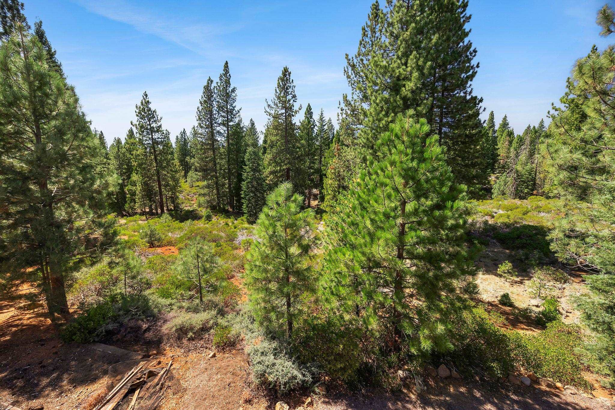 146 Bailey Creek Drive