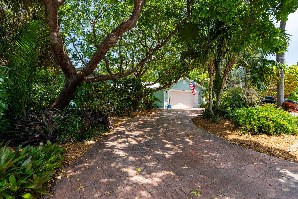 House at the end of a shaded driveway beneath mature trees, surrounded by tropical landscaping.